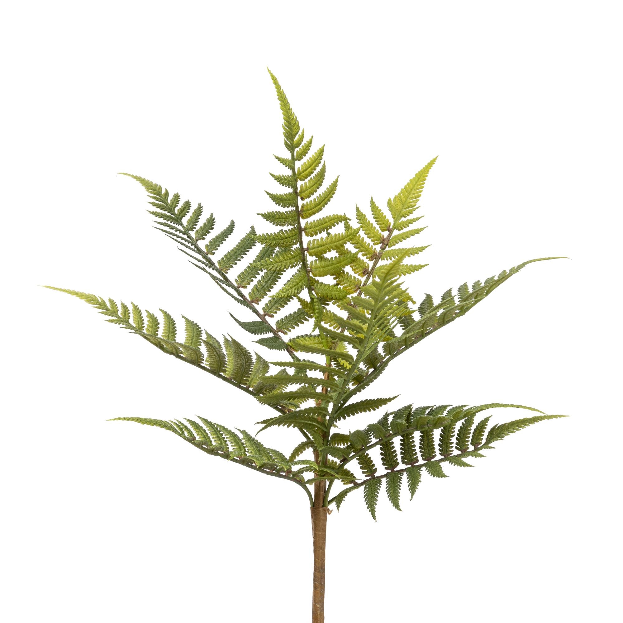 13" Fern Stem FR1023