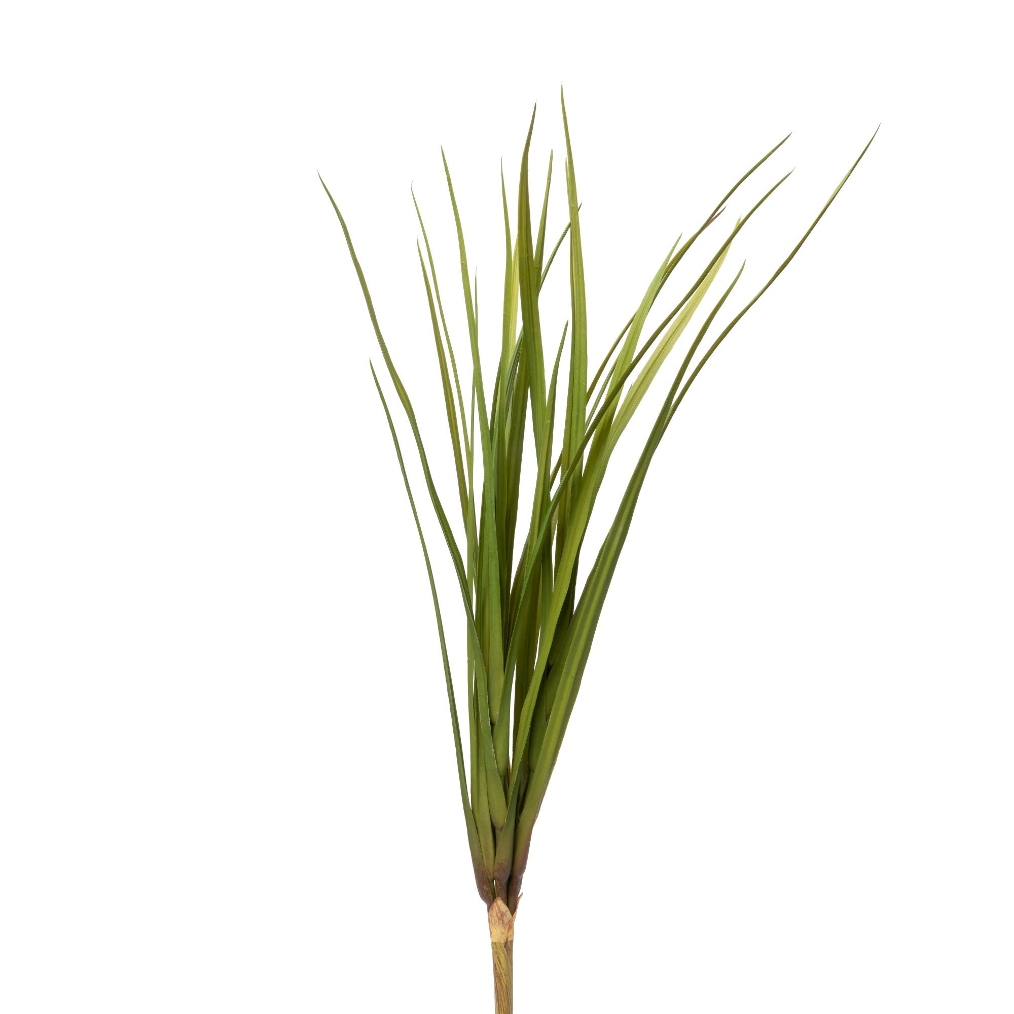 23.5" UV Grass Stem GS1013