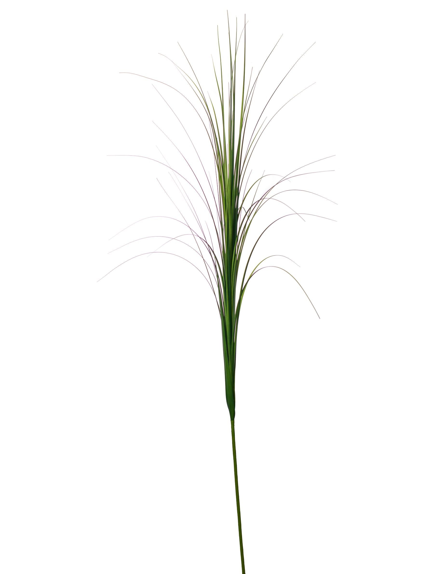 68" Grass Stem GS1016