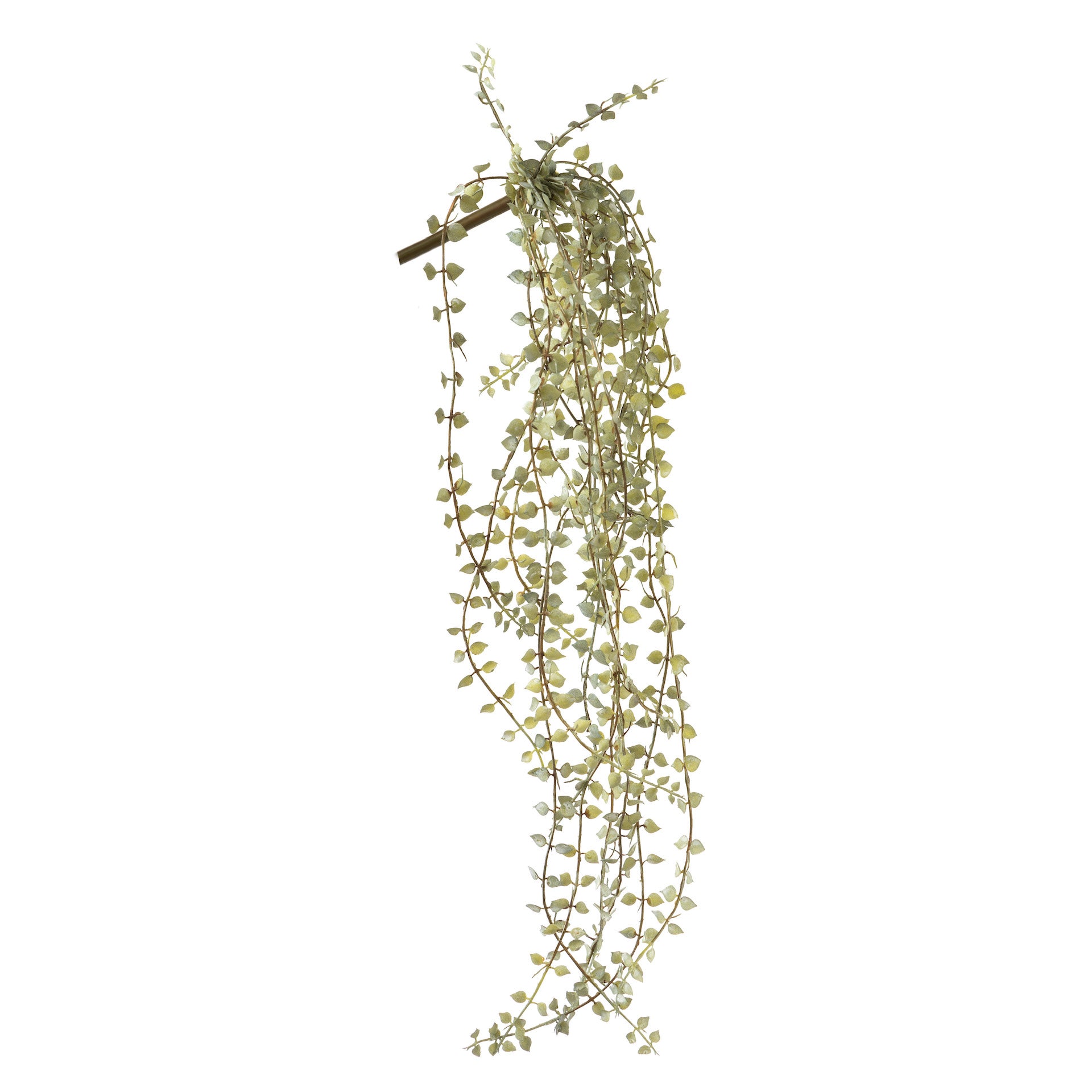 25" Hanging Grass Stem GS1018