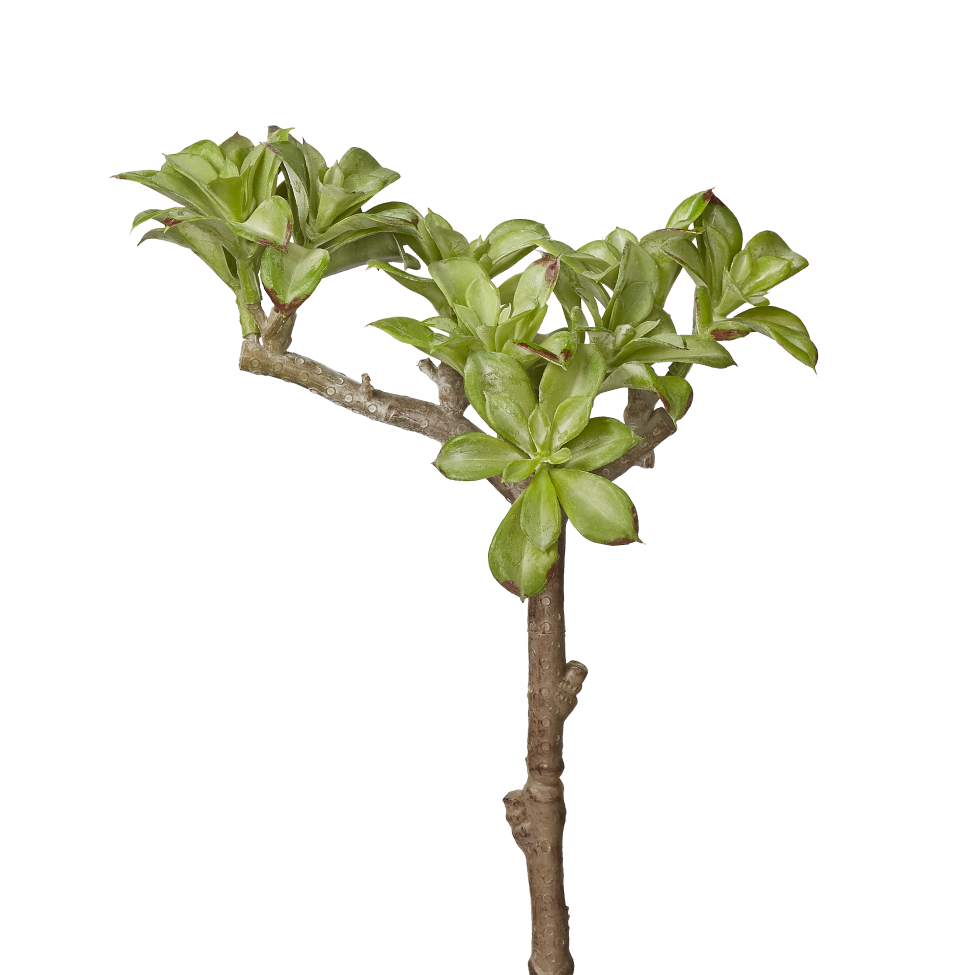 8" Multi Head Stem MH1002