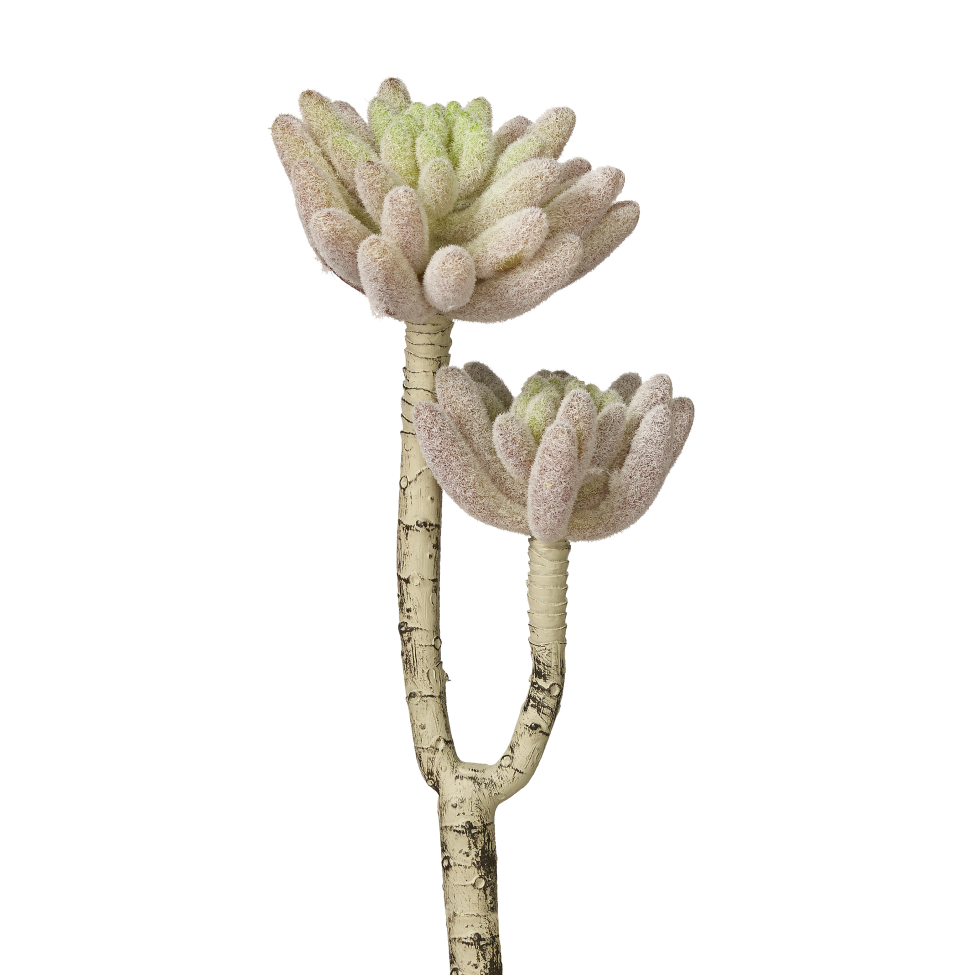 9" Flocked Aeonium Stem-Red 2 Heads MH1004