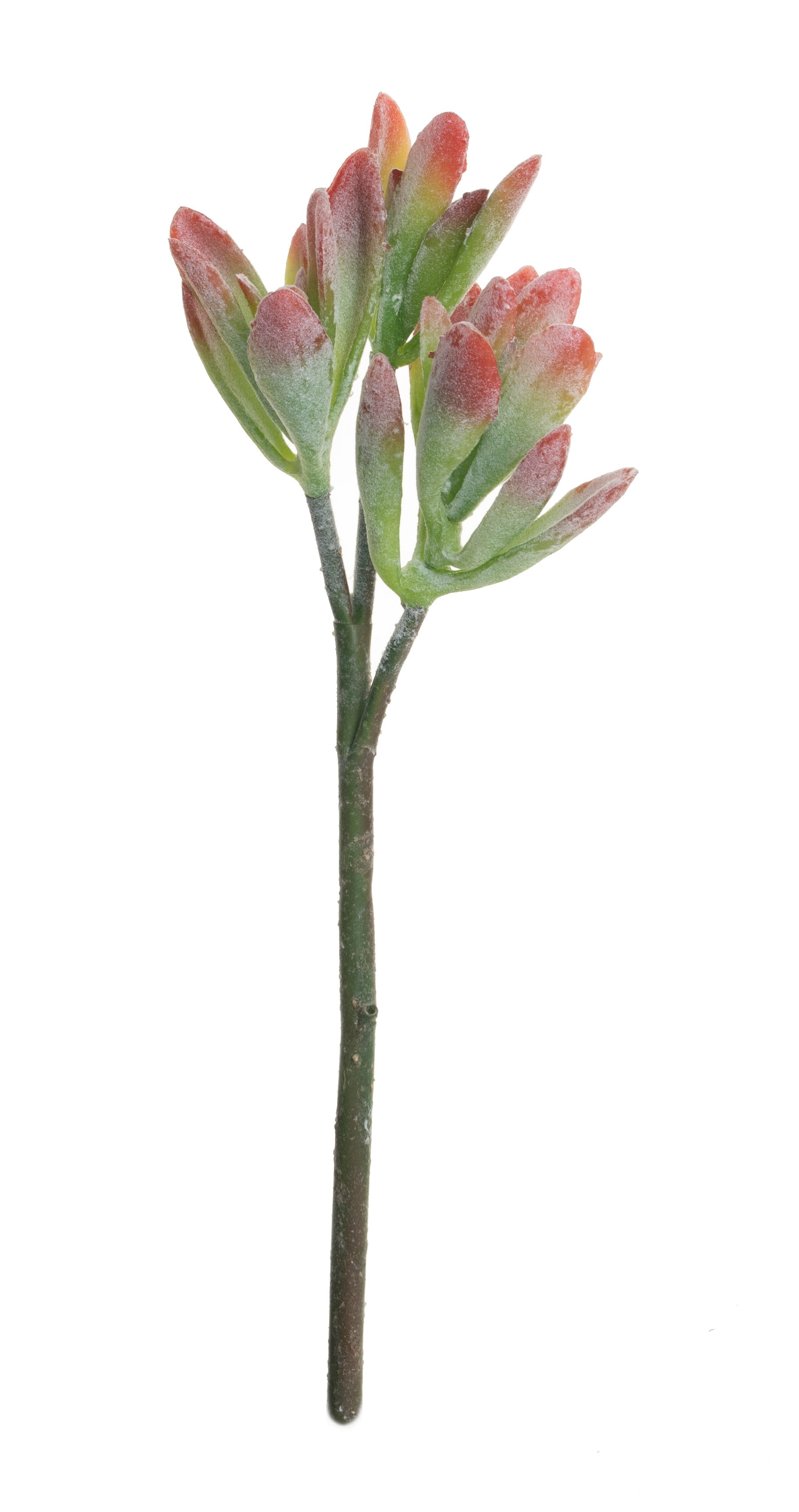 15" Succulent Stem-Red Tip 2 Heads MH1006