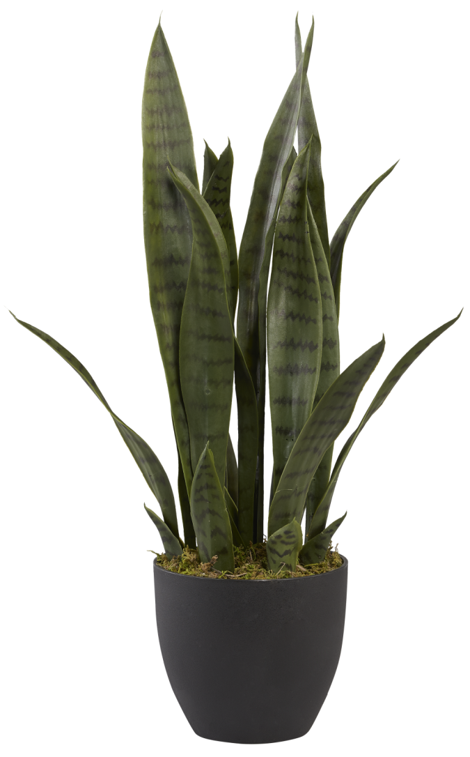 faux snake plant in planter 2' Snake Plant PP1010