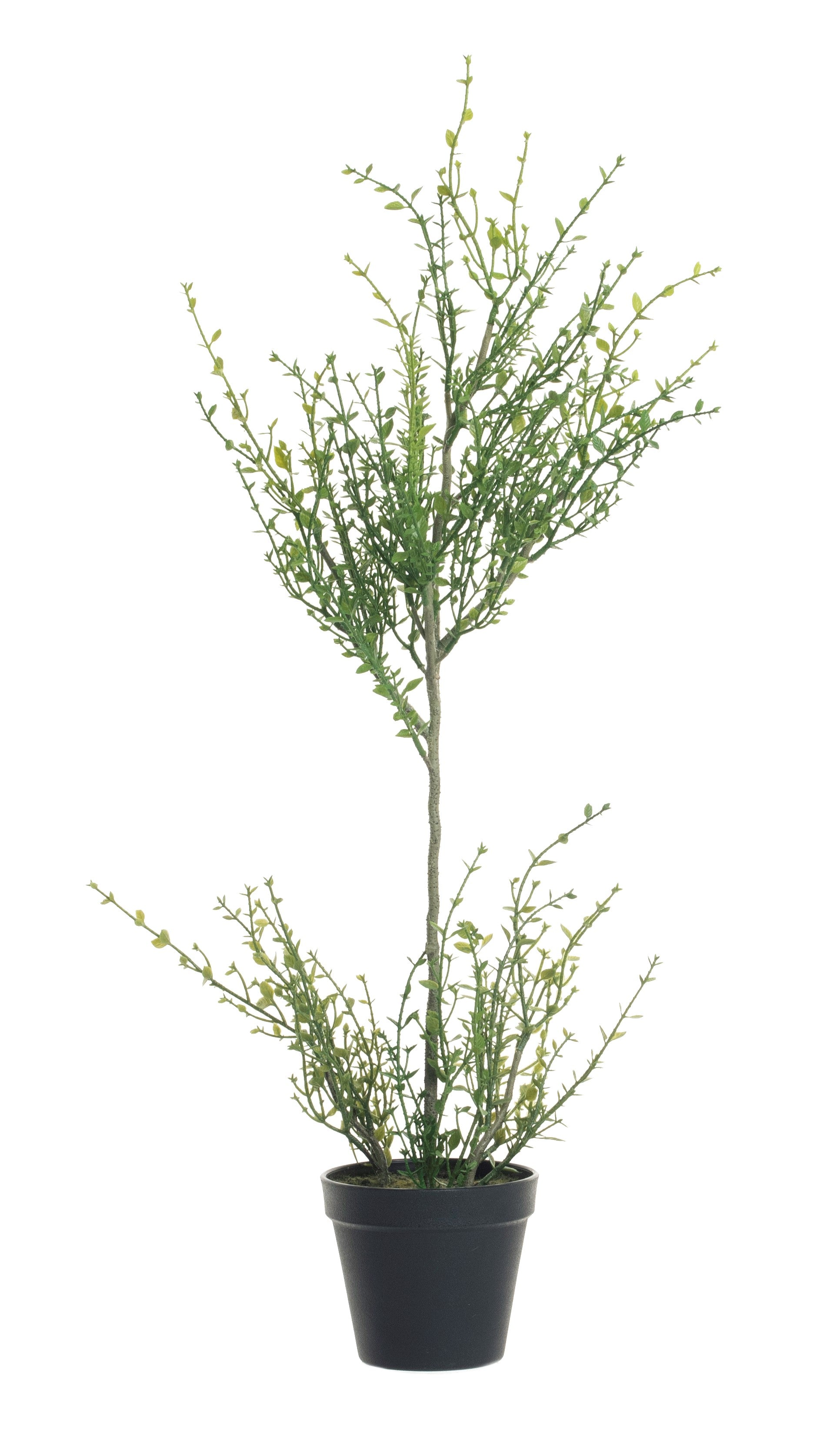28" Potted Tender Leaf and Grass PP1020