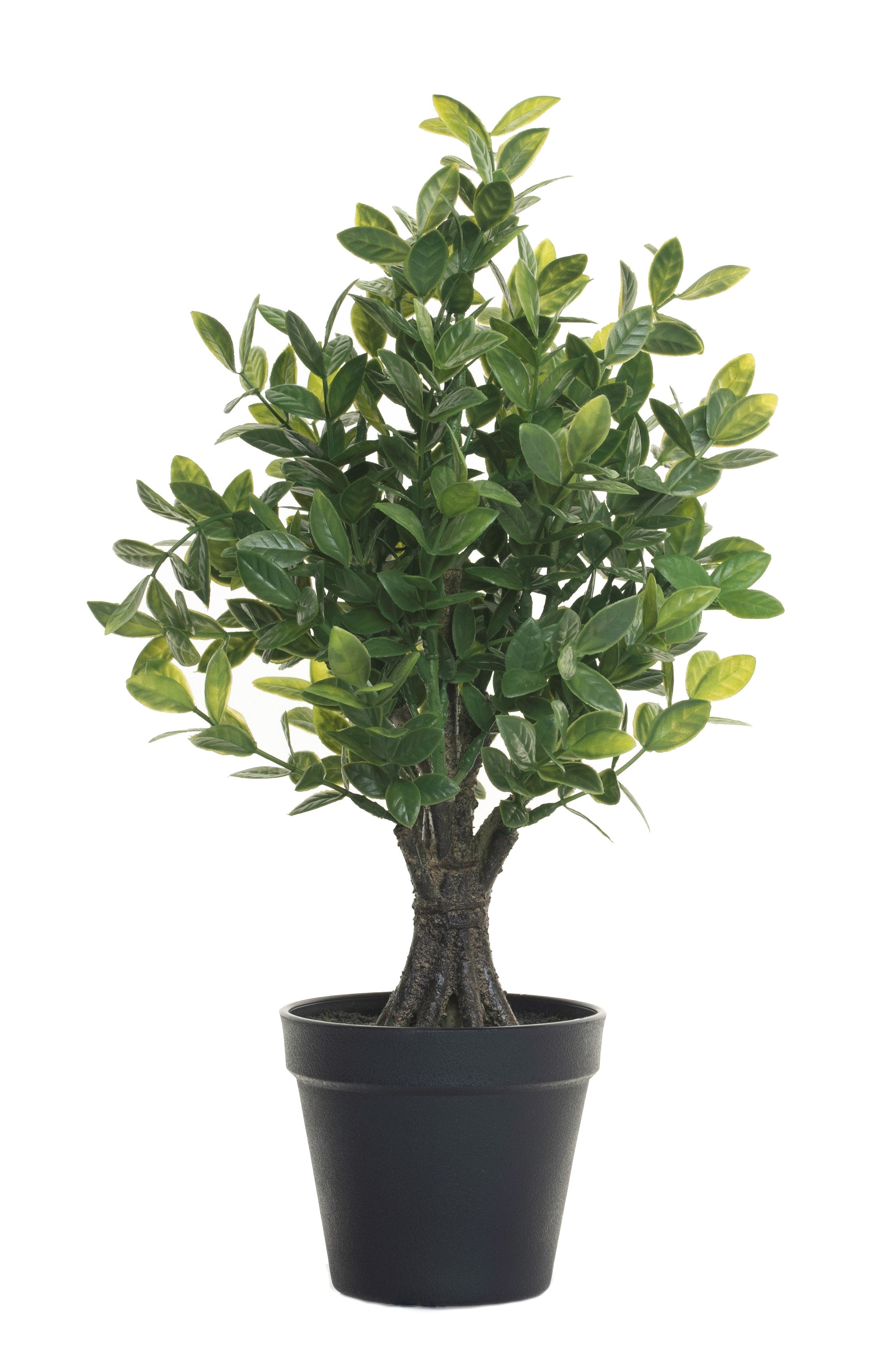 16" Potted Lemon Tree-No Fruit PP1021