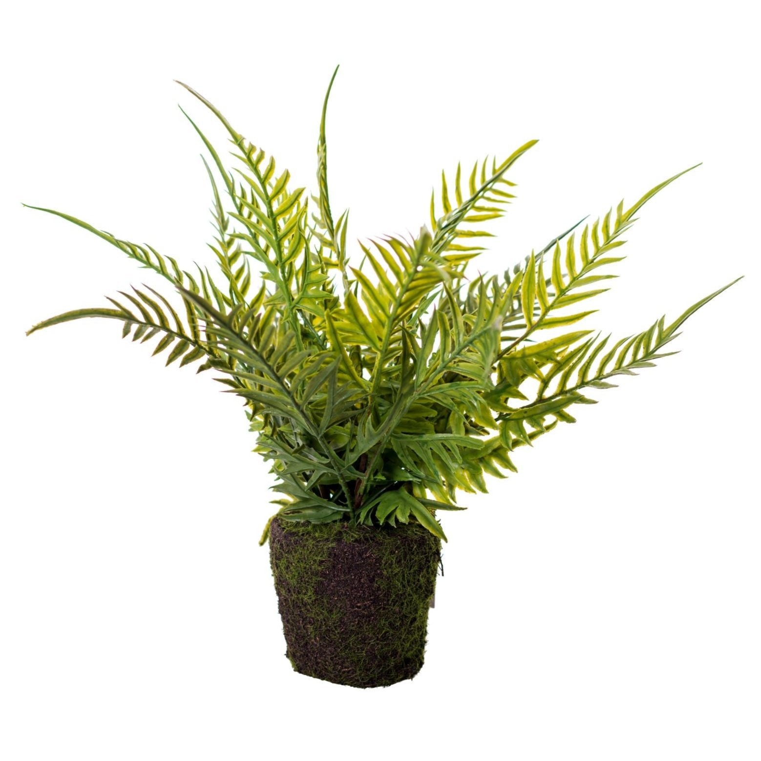 Drop In Fern Plant PP1036