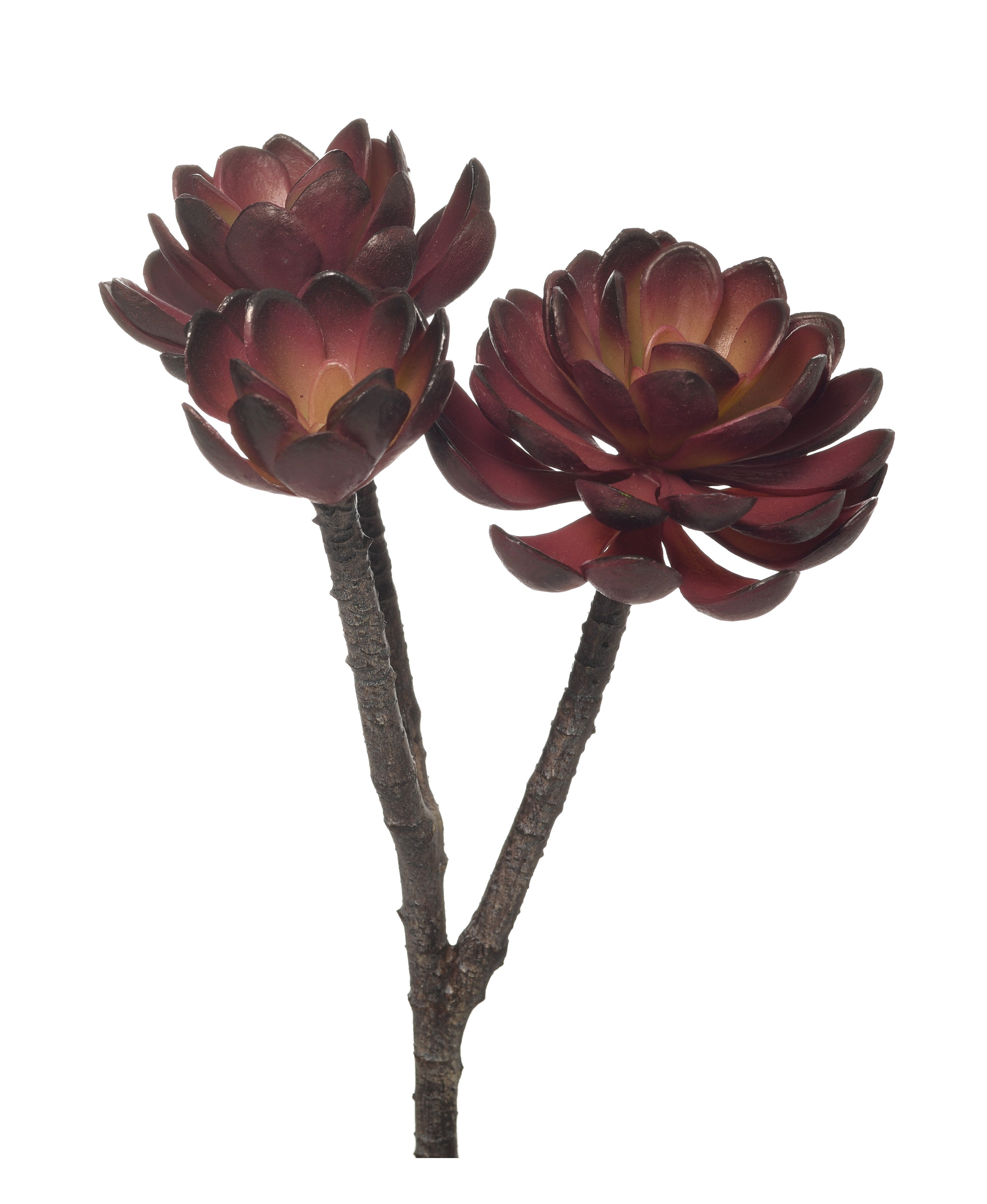 10" Hen and Chicks Stem-Burgundy MH1017