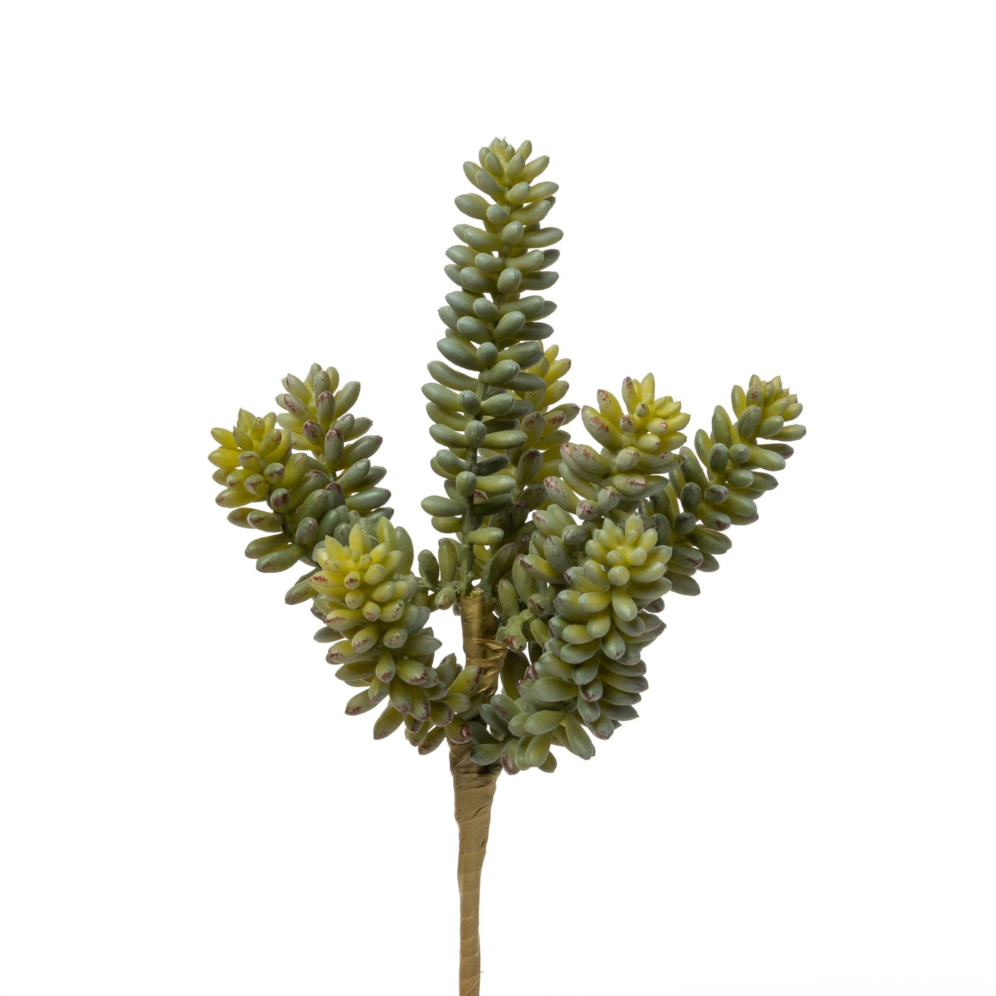 9" Sedum Stem SE1021