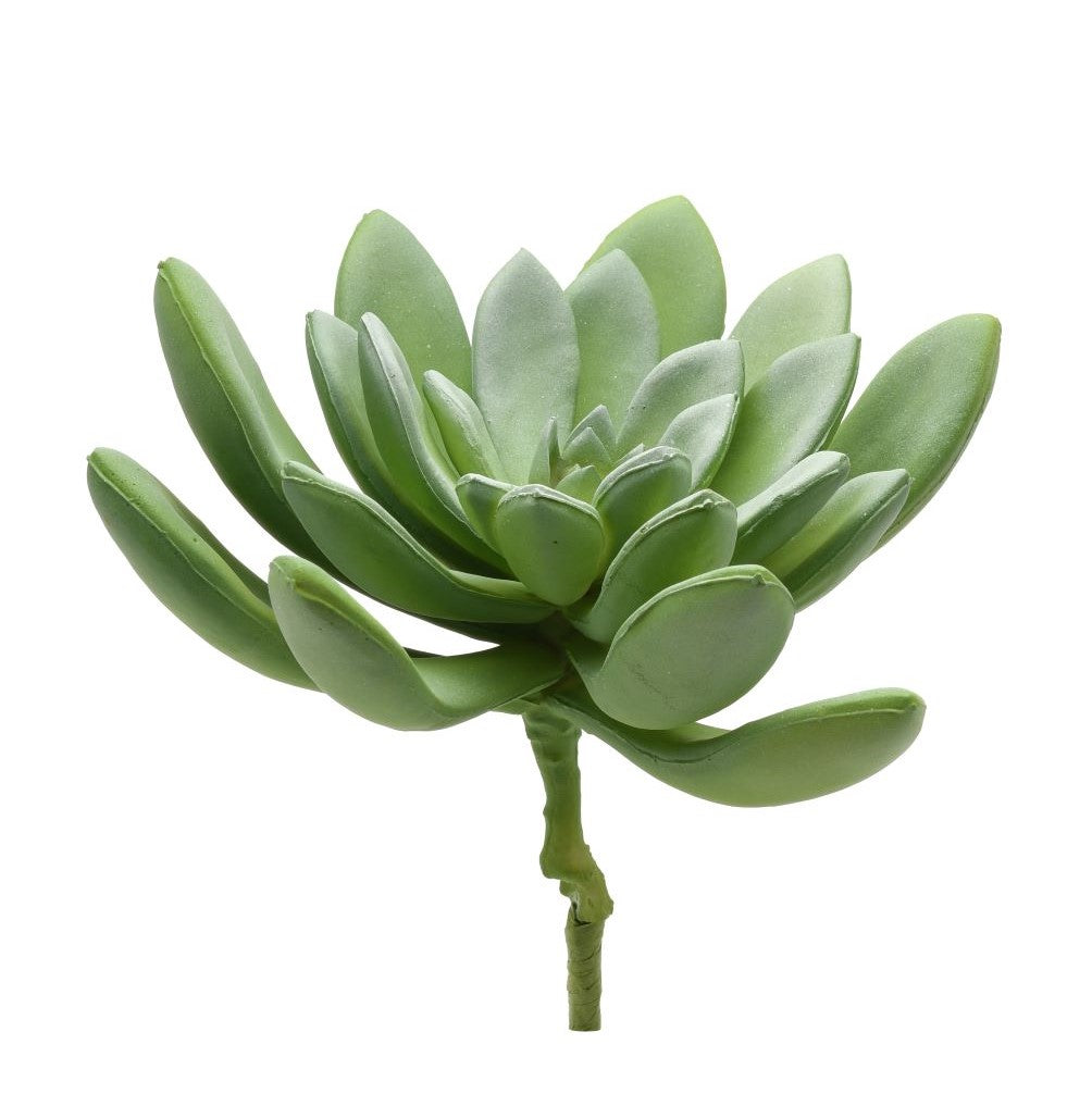 7" Succulent Flower   SF1028