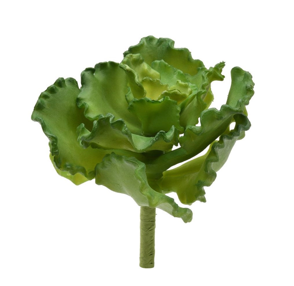 9" Curly Echeveria Stem  SF1031
