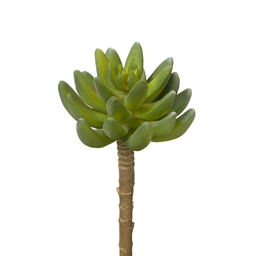 6" Single Stem Succulent   SF1003UV