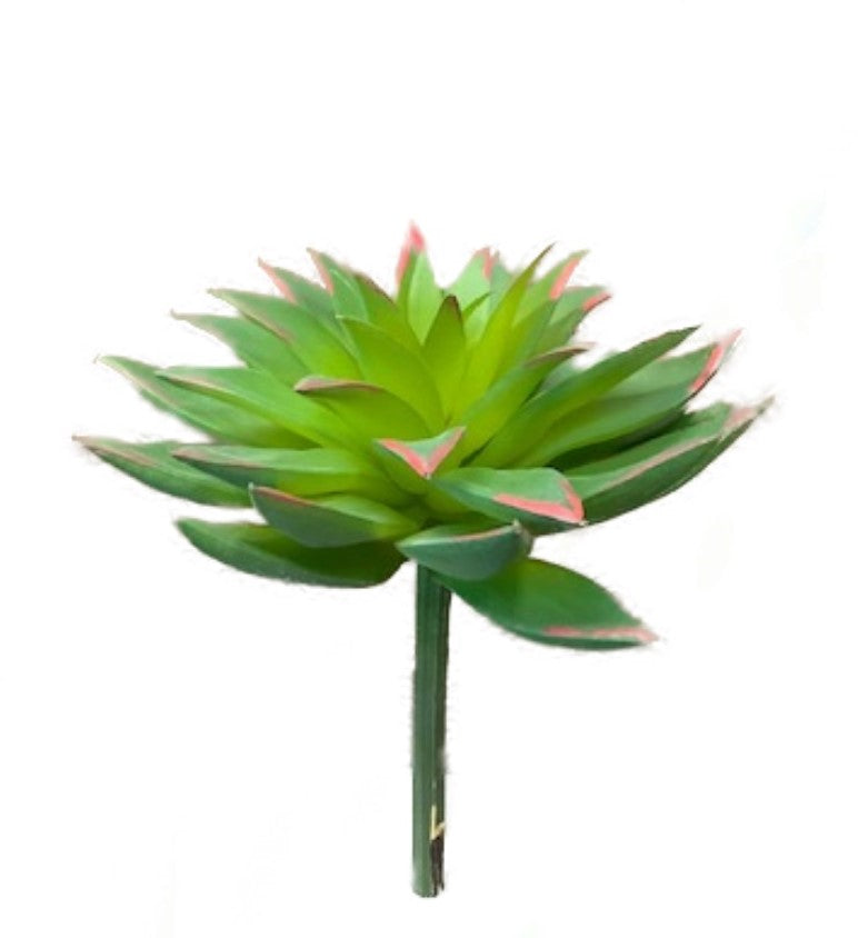 9" Echeveria Stem-Red Tips SF1040