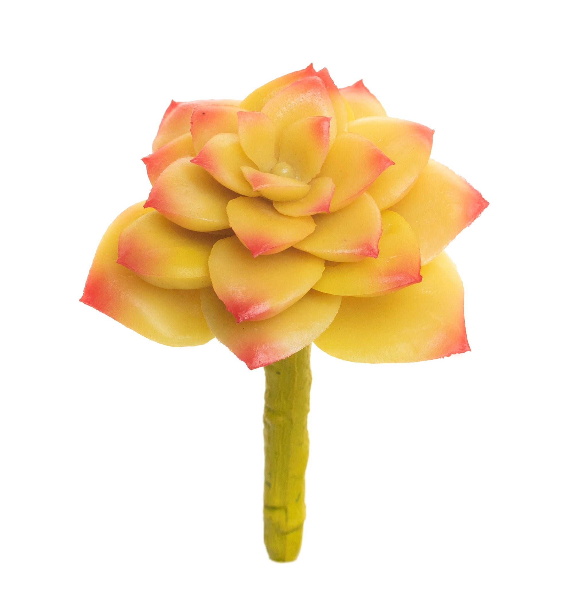 5" Succulent- Red/Yellow SF1061