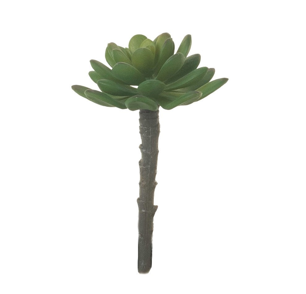 5" Single Stem Succulent SF1071GR
