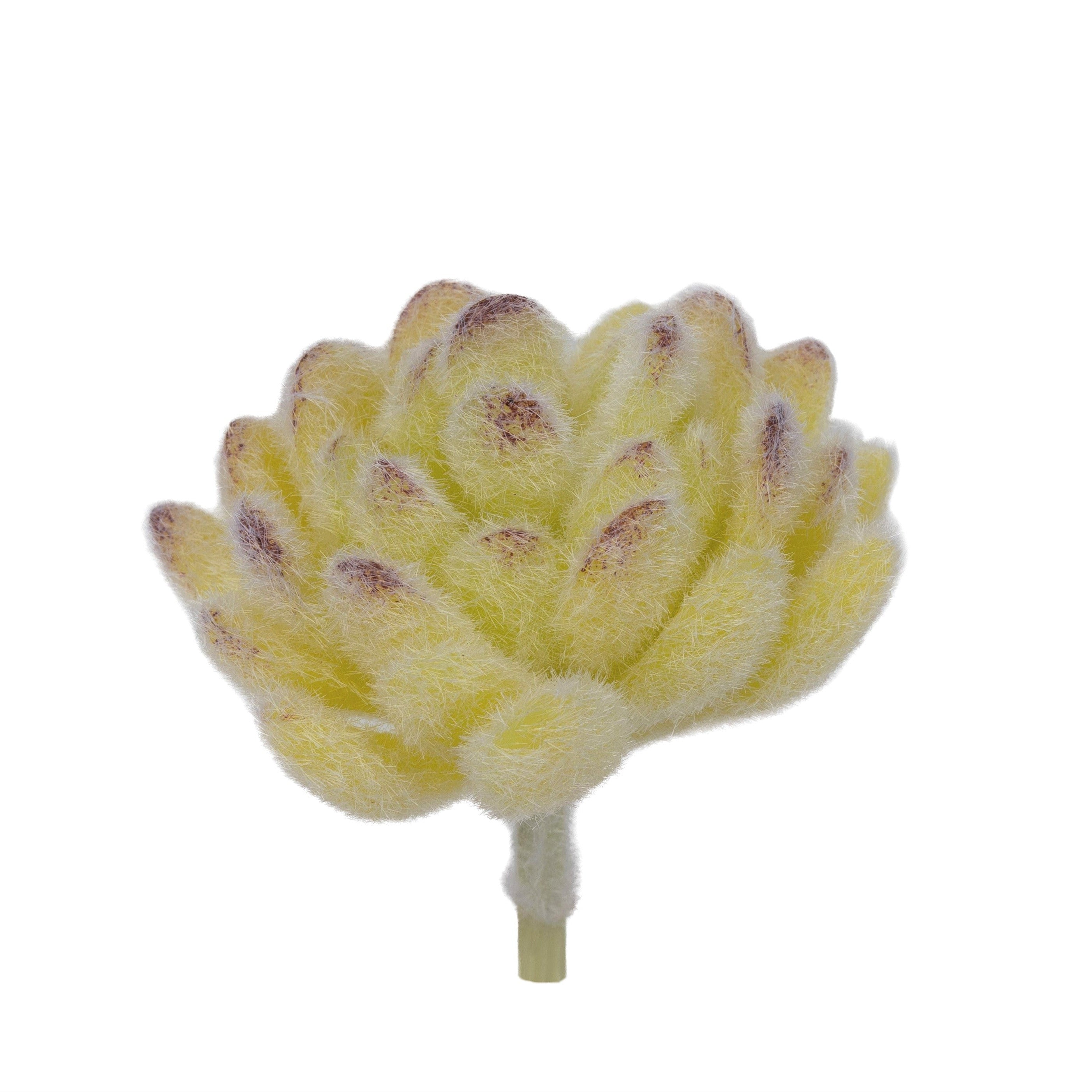 7" Mini Agave Pick SF1077