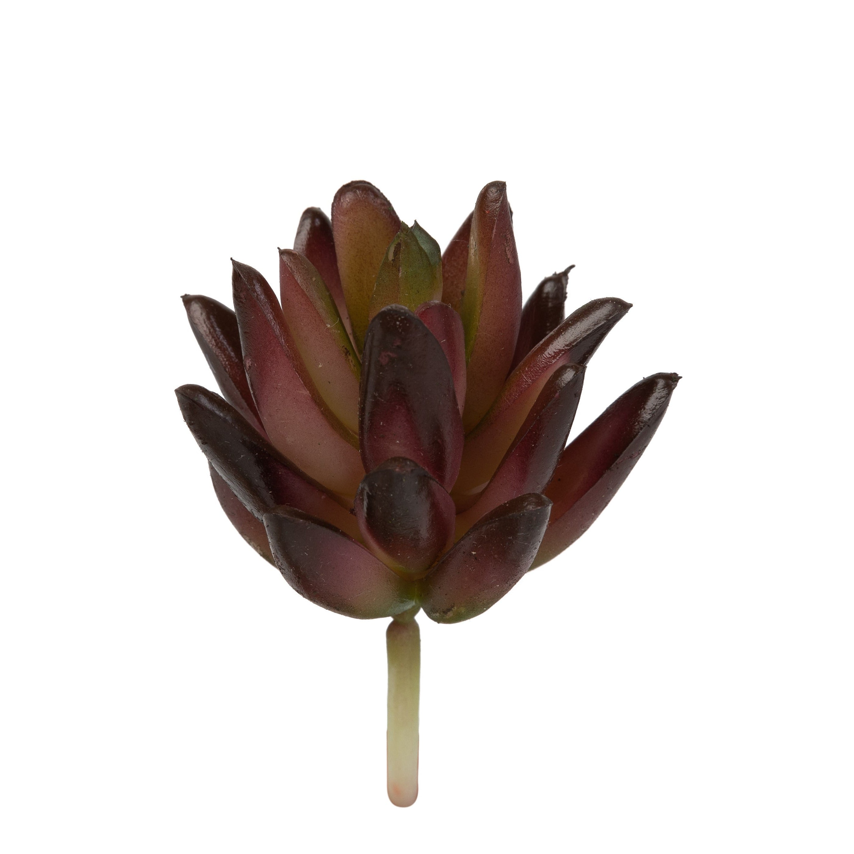 4" Mini Succulent Pick SF1079