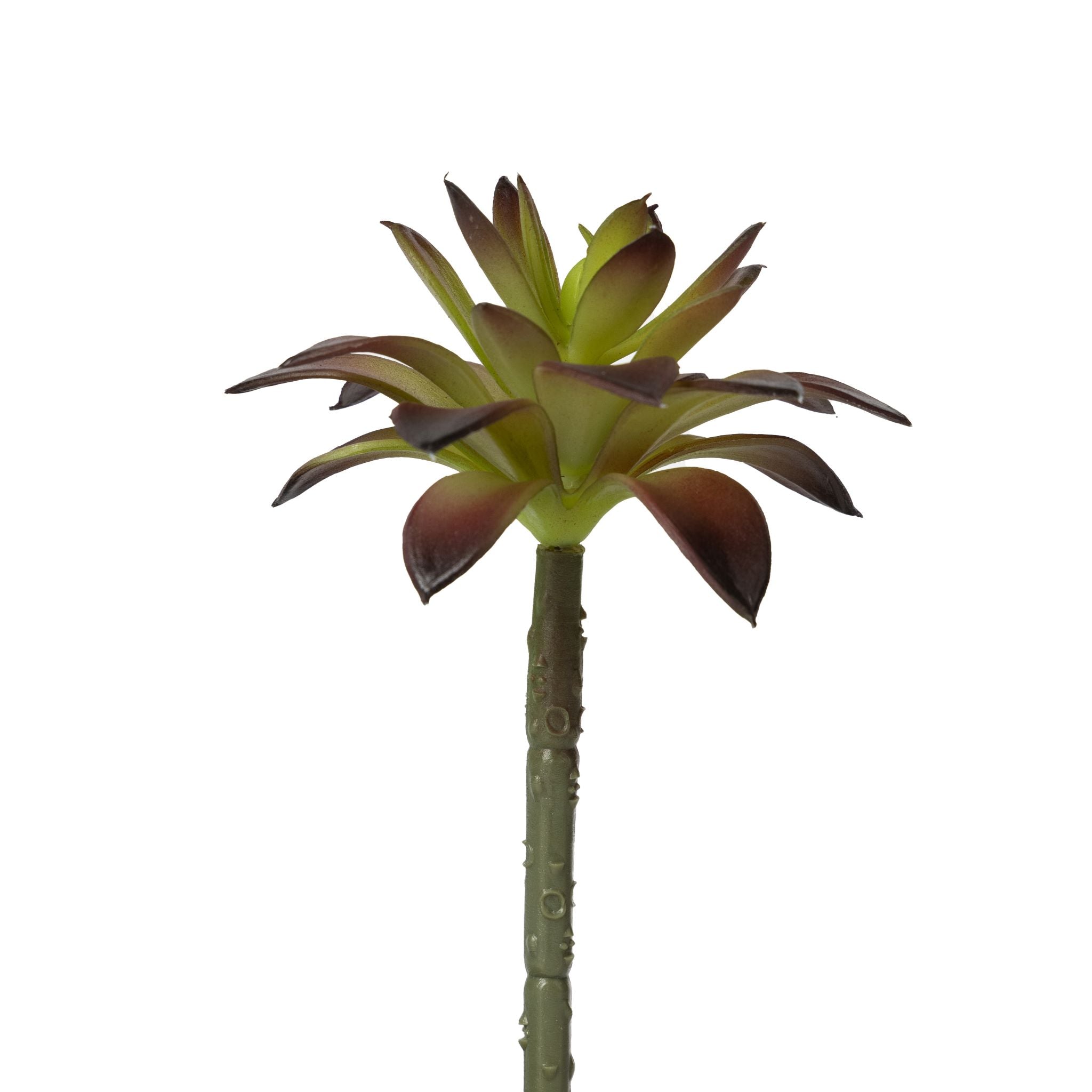 6" Succulent Flower      SF1088