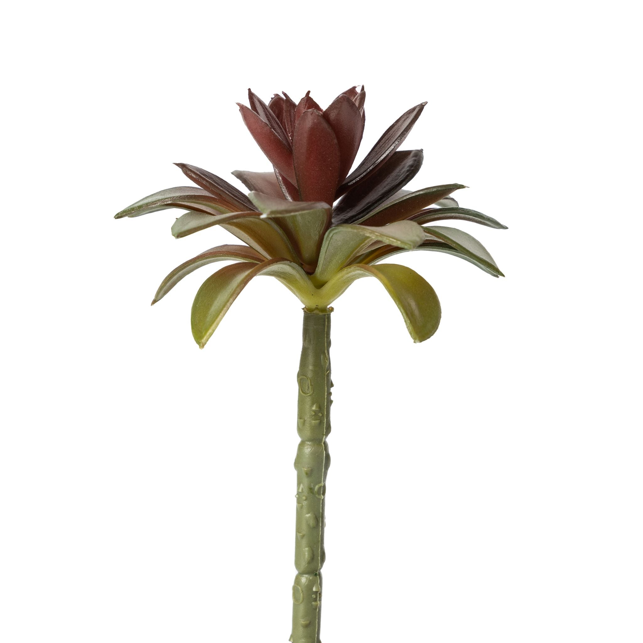 6" Succulent Flower     SF1089