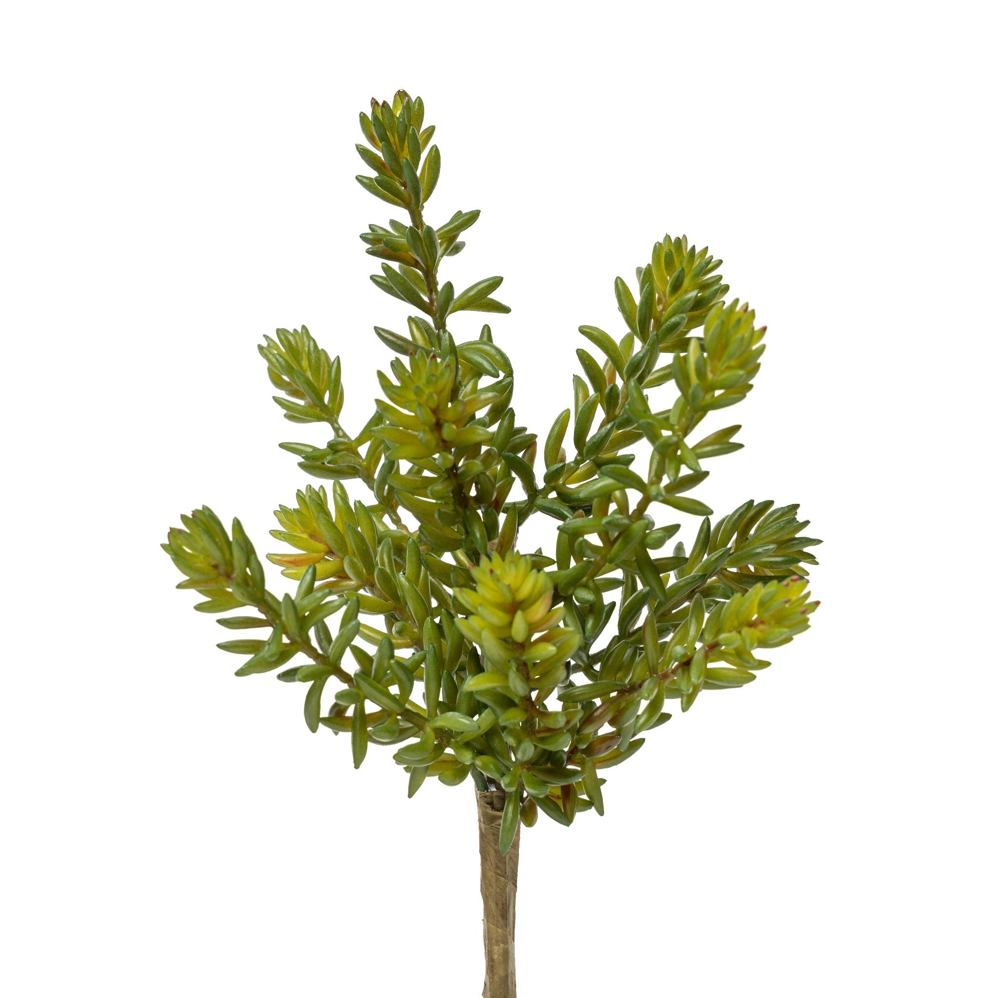 9" Succulent Stem SF1091