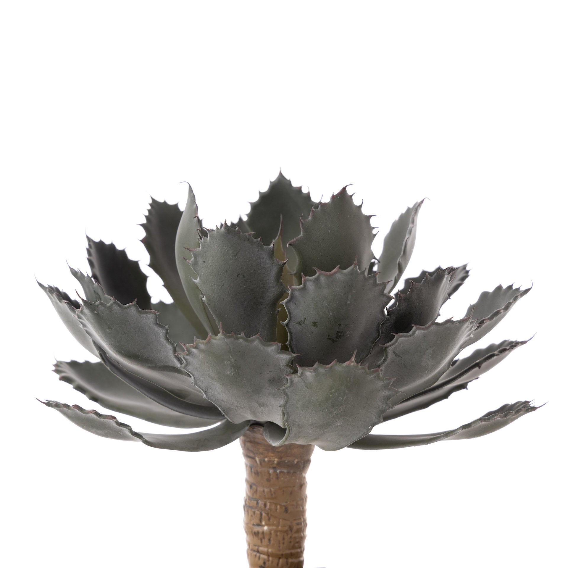 12" Green Echeveria Stem   SF1095