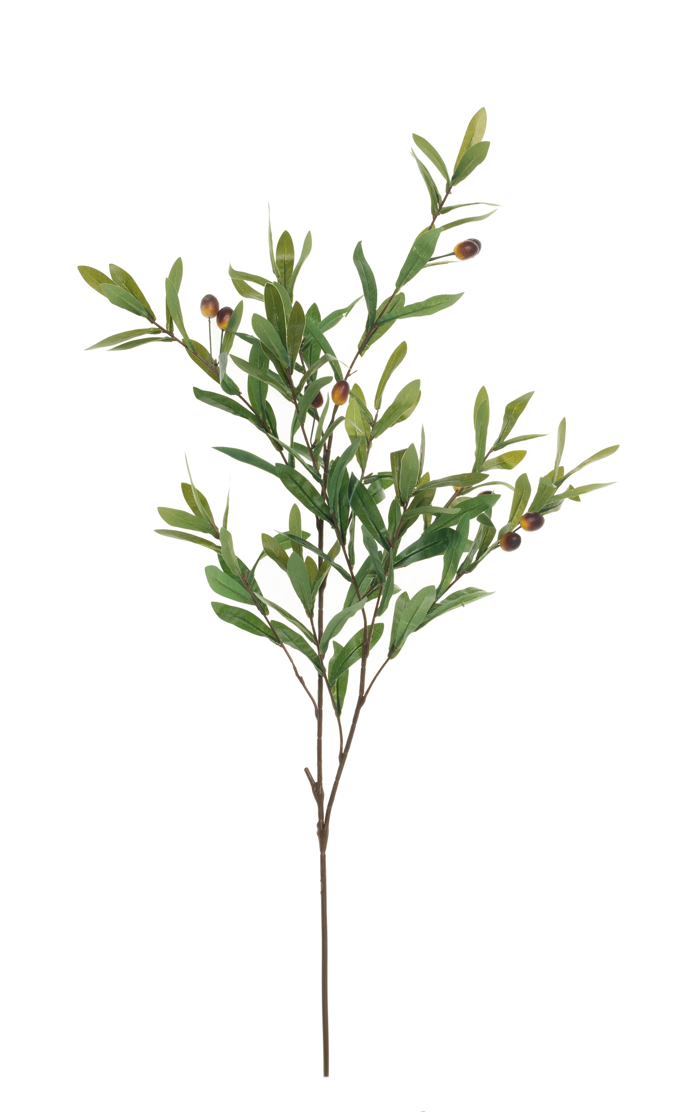 29" Olive Stem ST1047