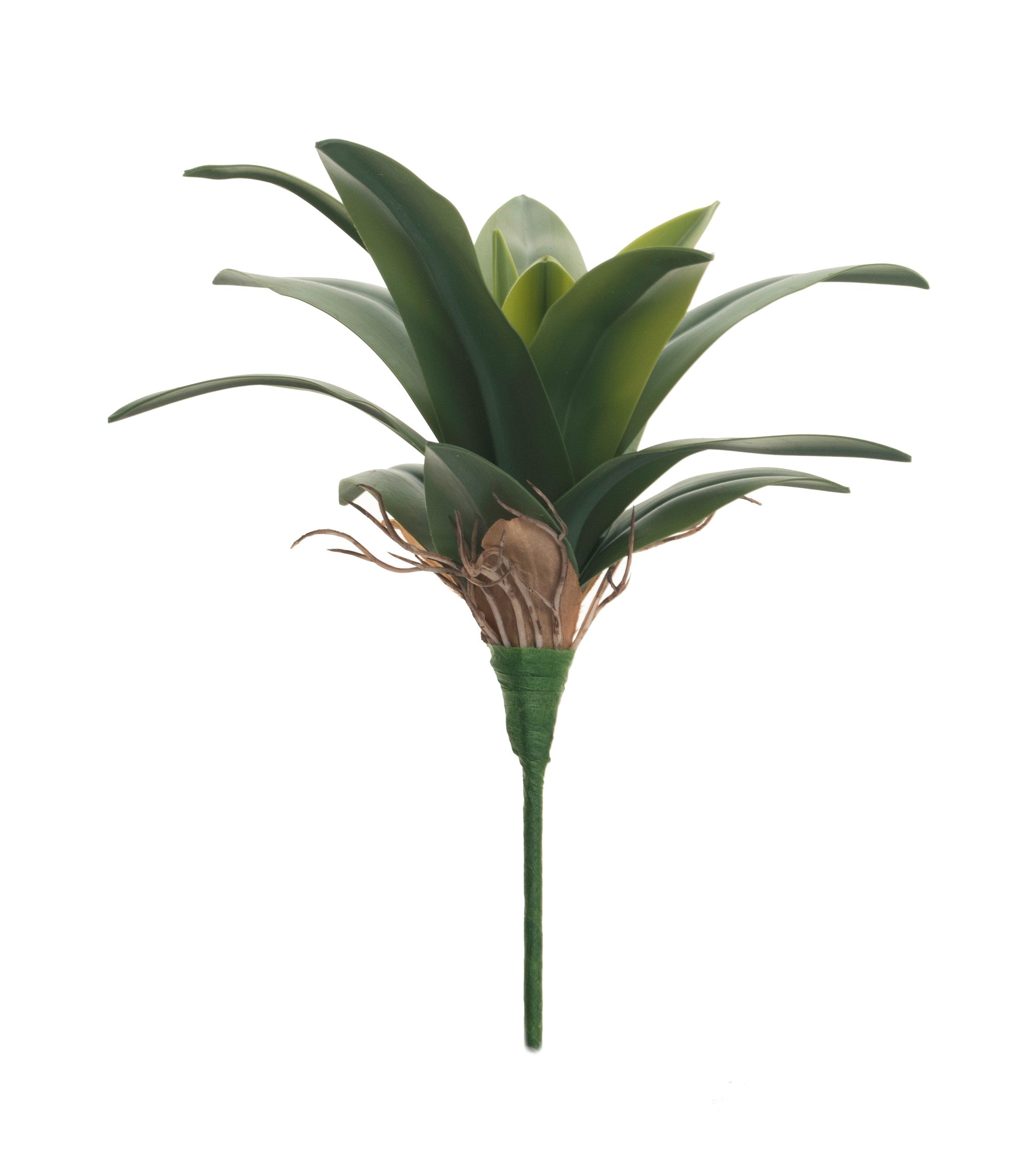 11" Agave Stem ST1070