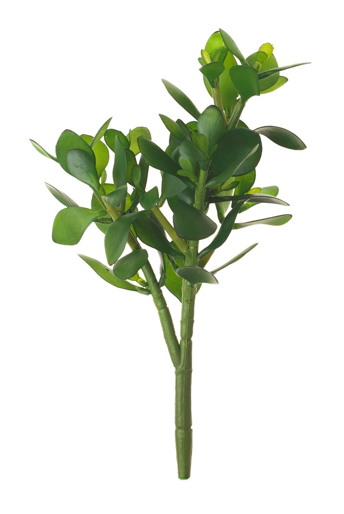 15" Jade Stem JA1011
