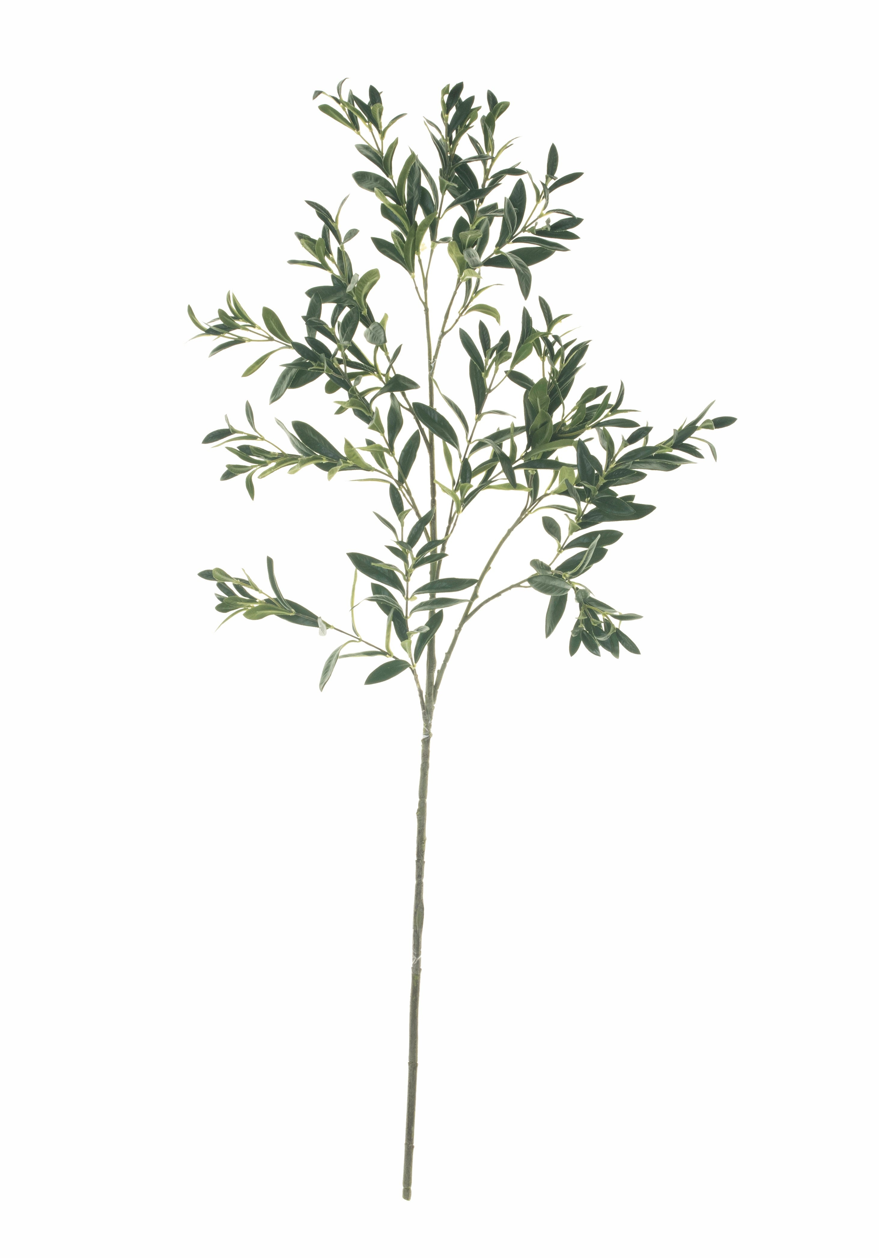 44" Olive Stem (no fruit) ST1085