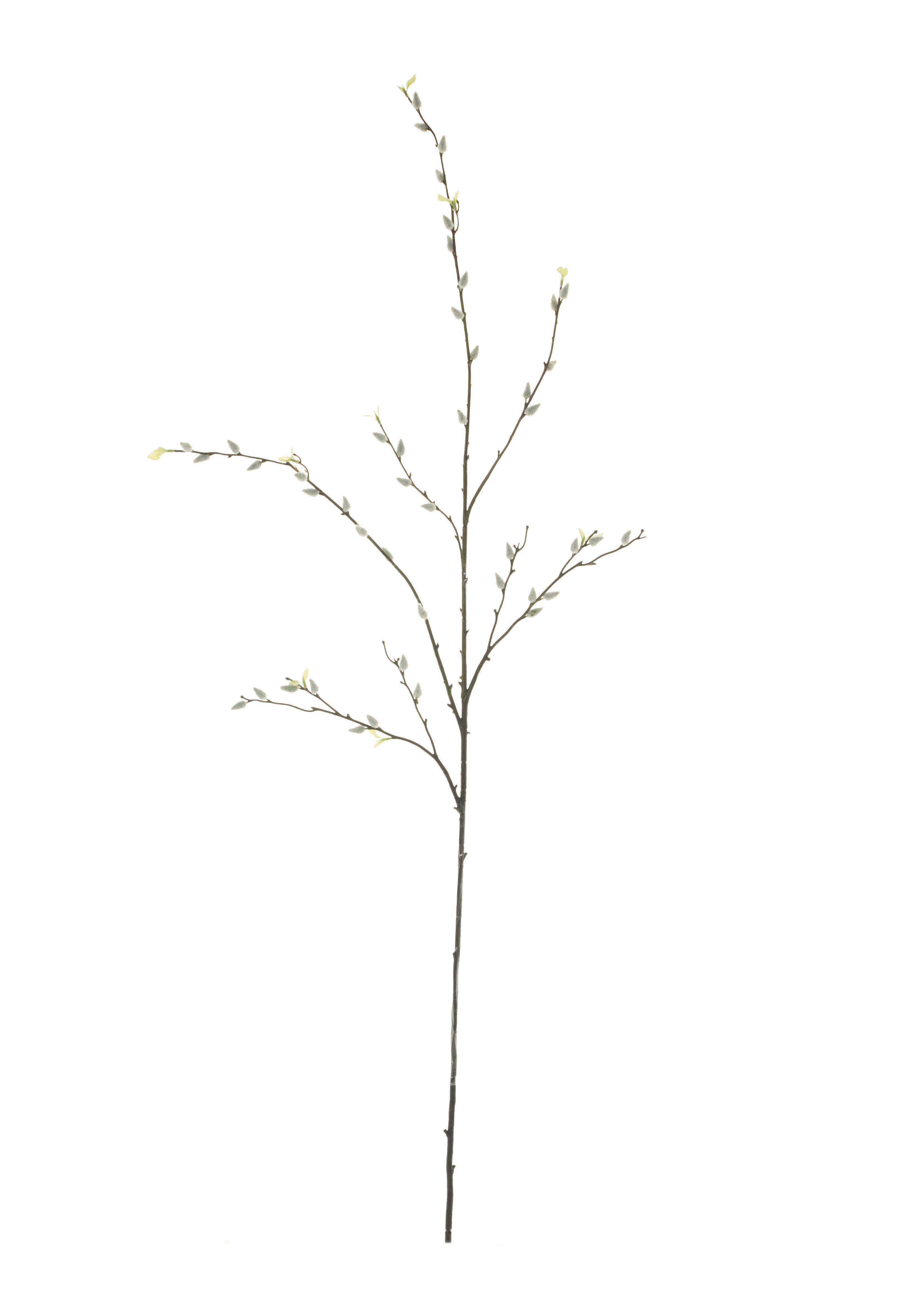 52" Pussy Willow - White ST1089