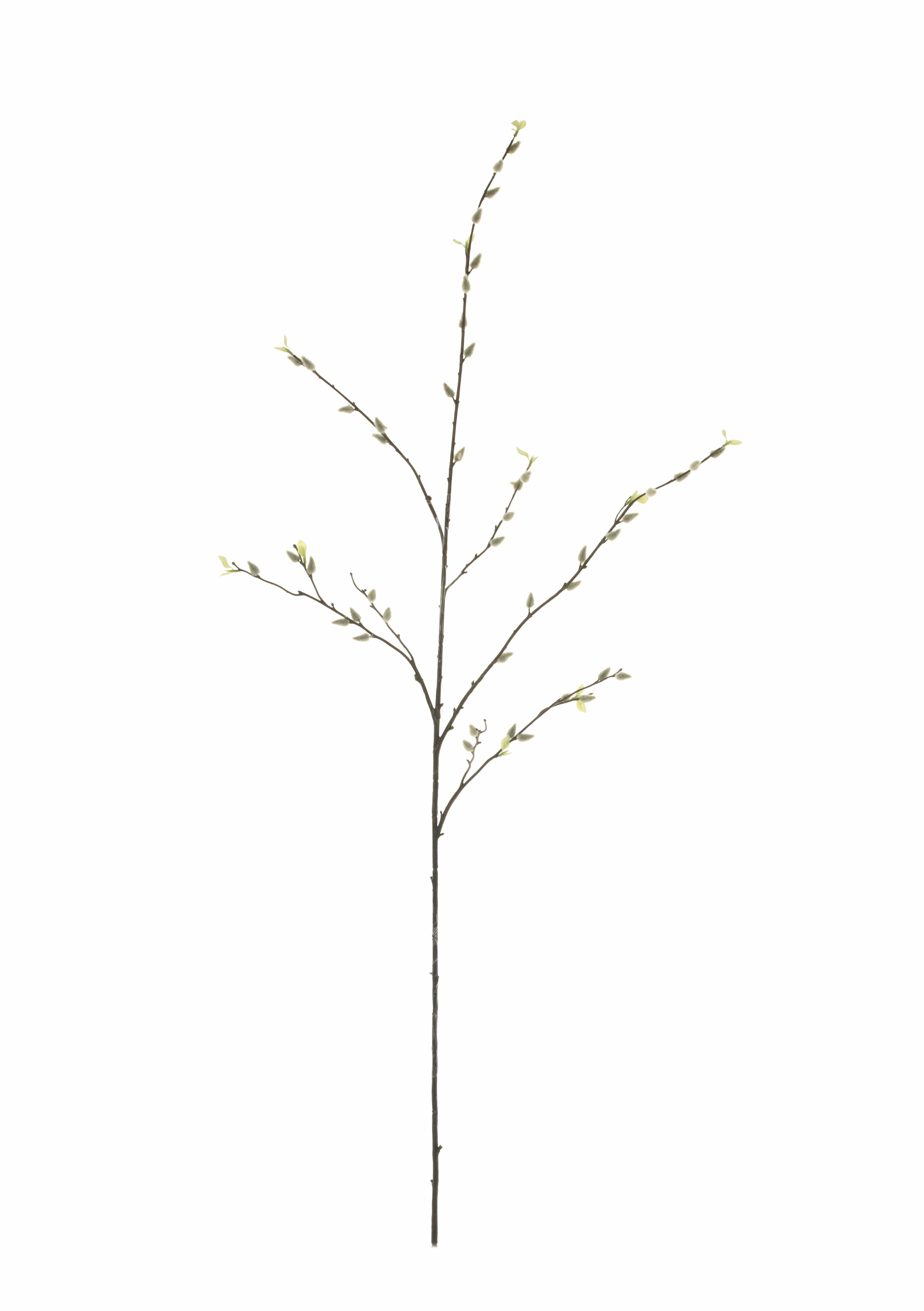 52" Pussy Willow - Green ST1090