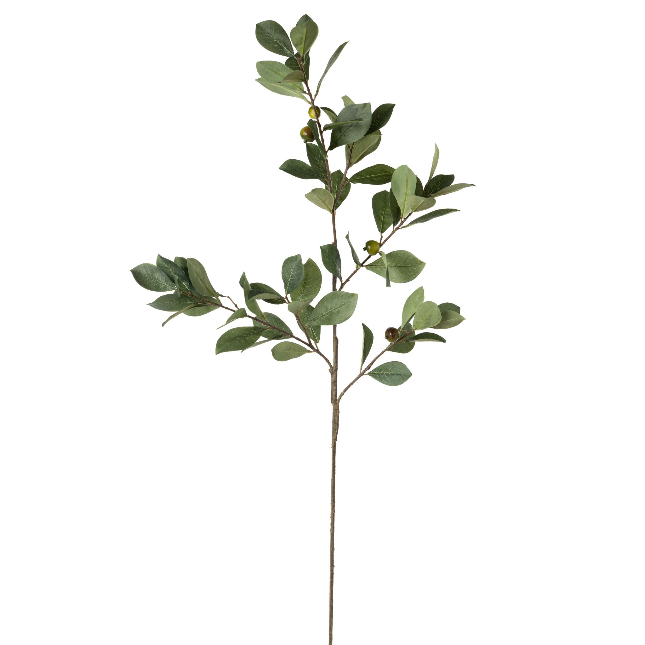 40” Pomegranate Stem ST1099