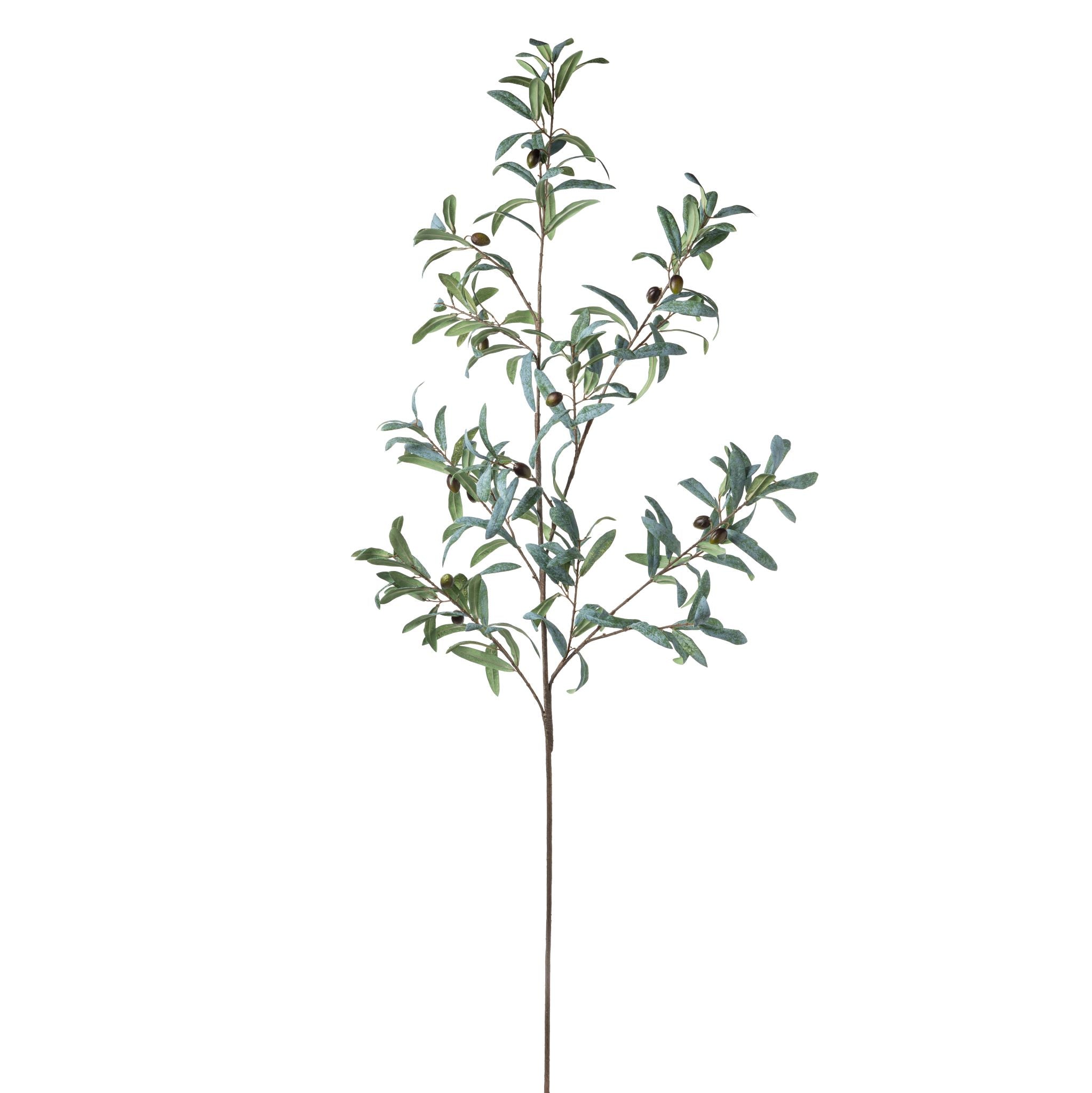 54” Olive Stem ST1100