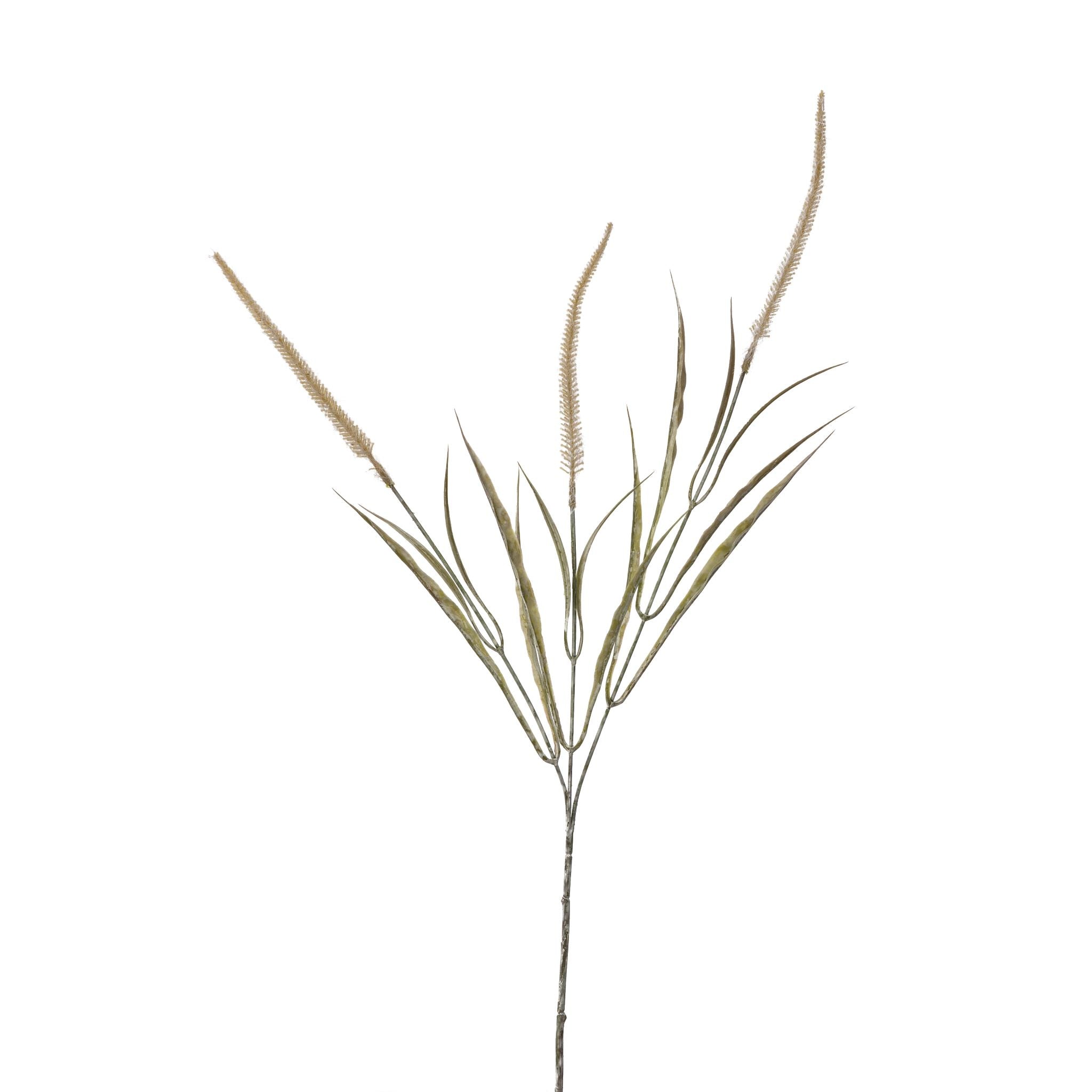 24" Foxtail Grass Spray ST1120