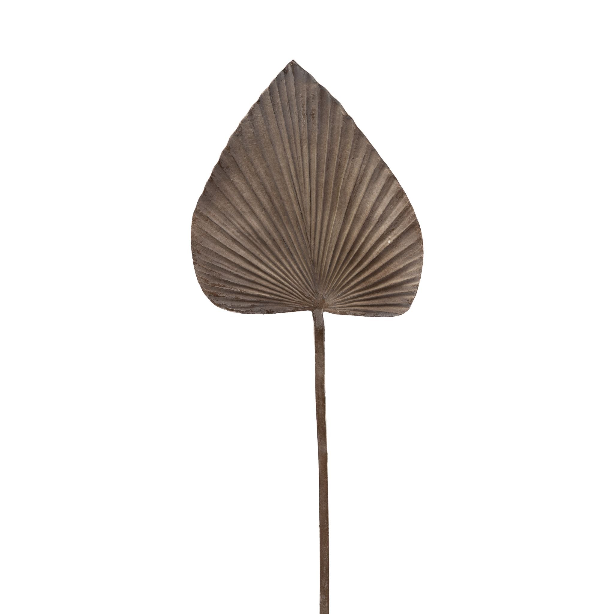30" Palm Leaf Brown ST1122