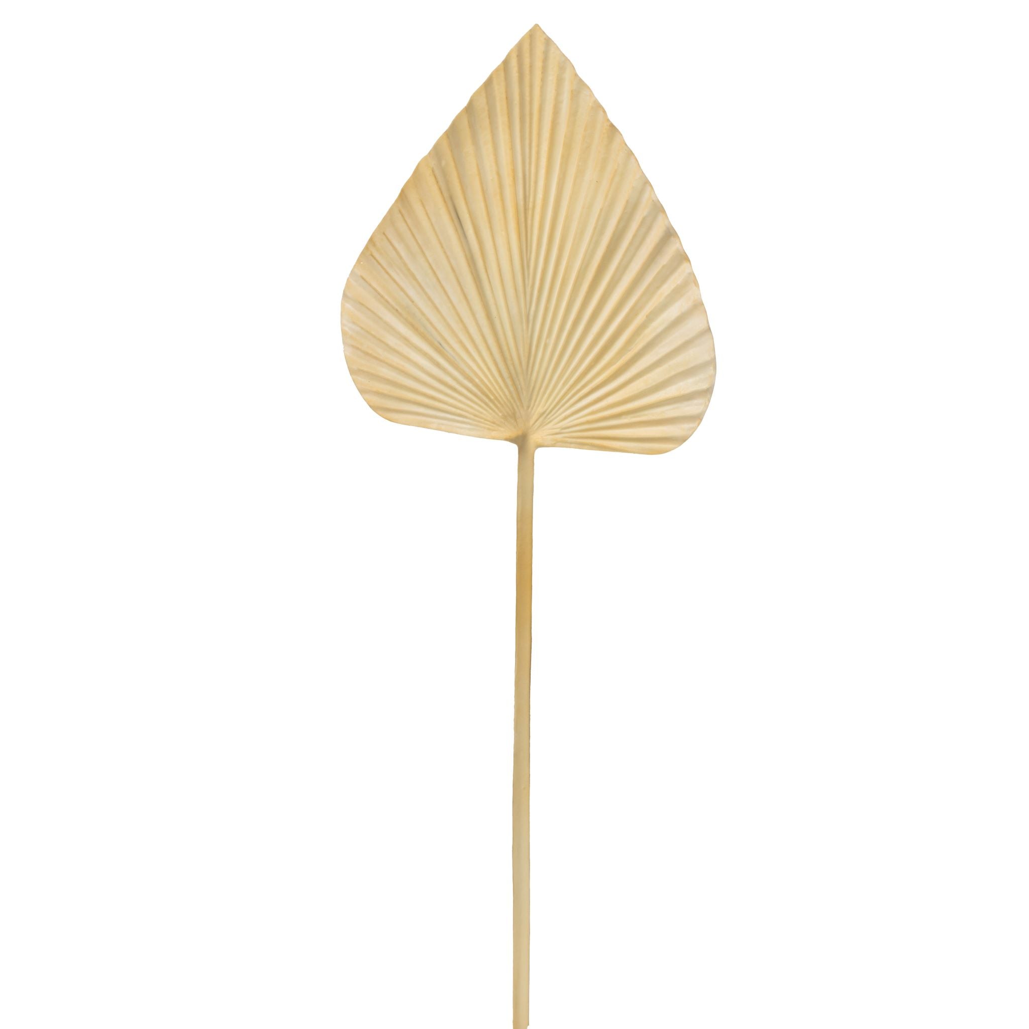 27" Palm Leaf Dark Cream ST1123