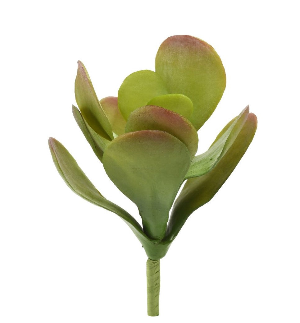 10" Kalanchoe Stem SU1025