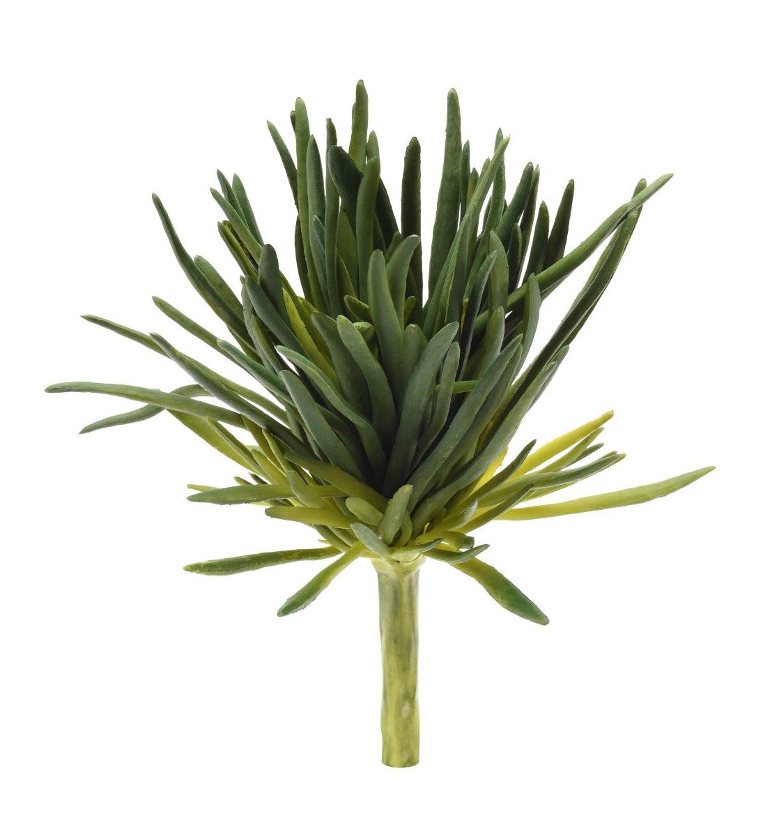 10" Finger Succulent Stem SU1029