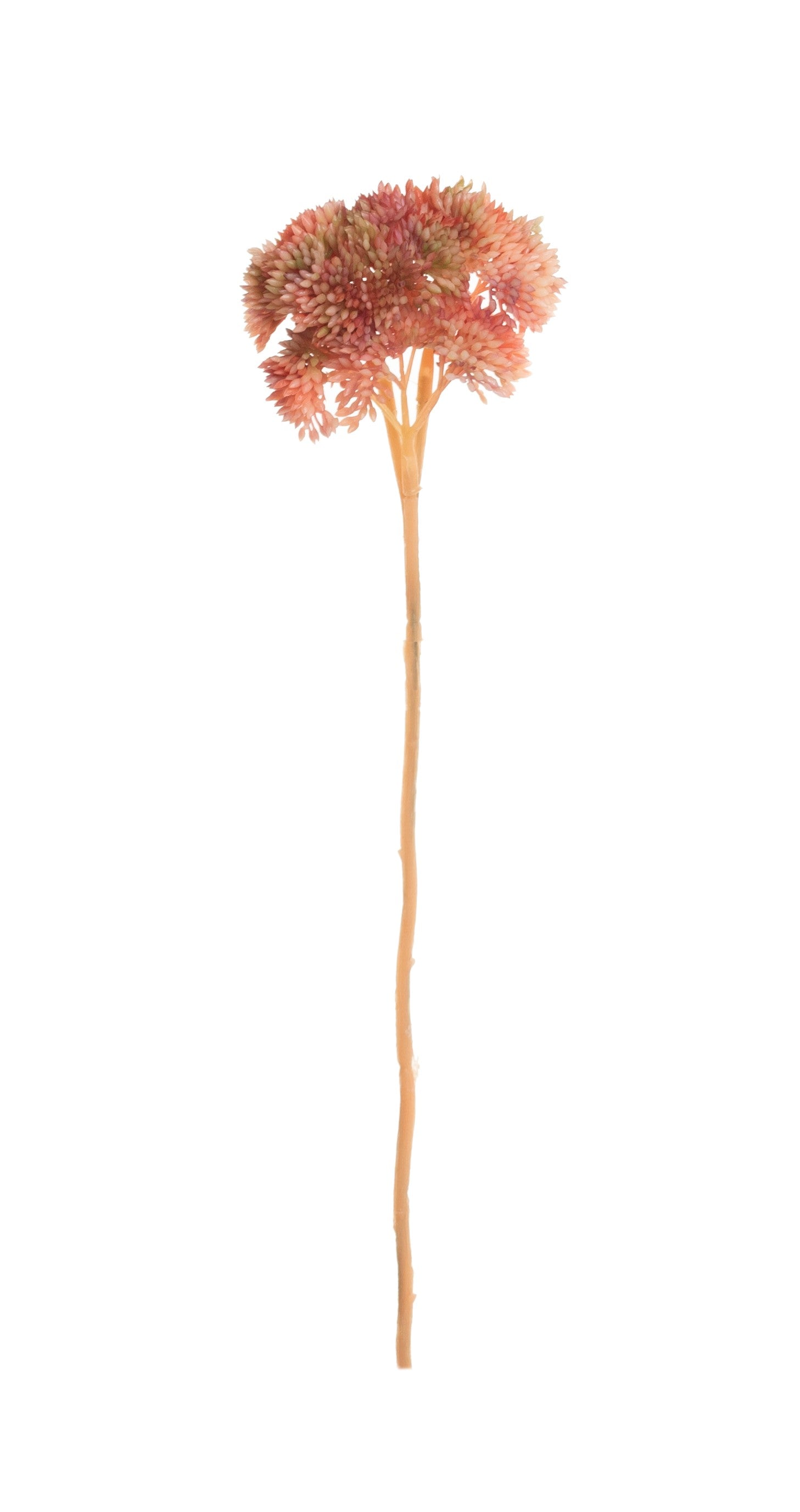 12" Succulent Stem-Coral   SU1039