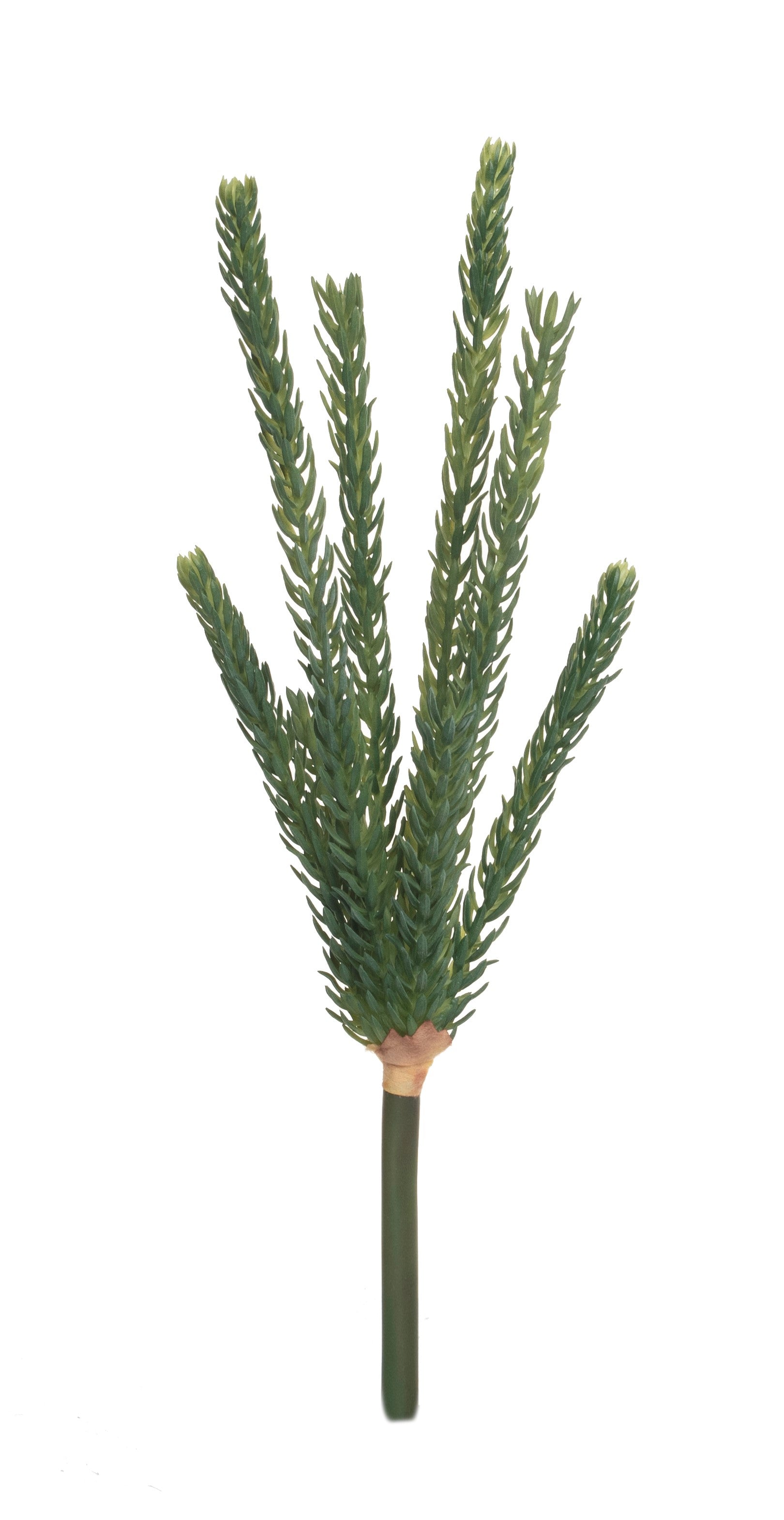 14" Succulent Stem    SU1043
