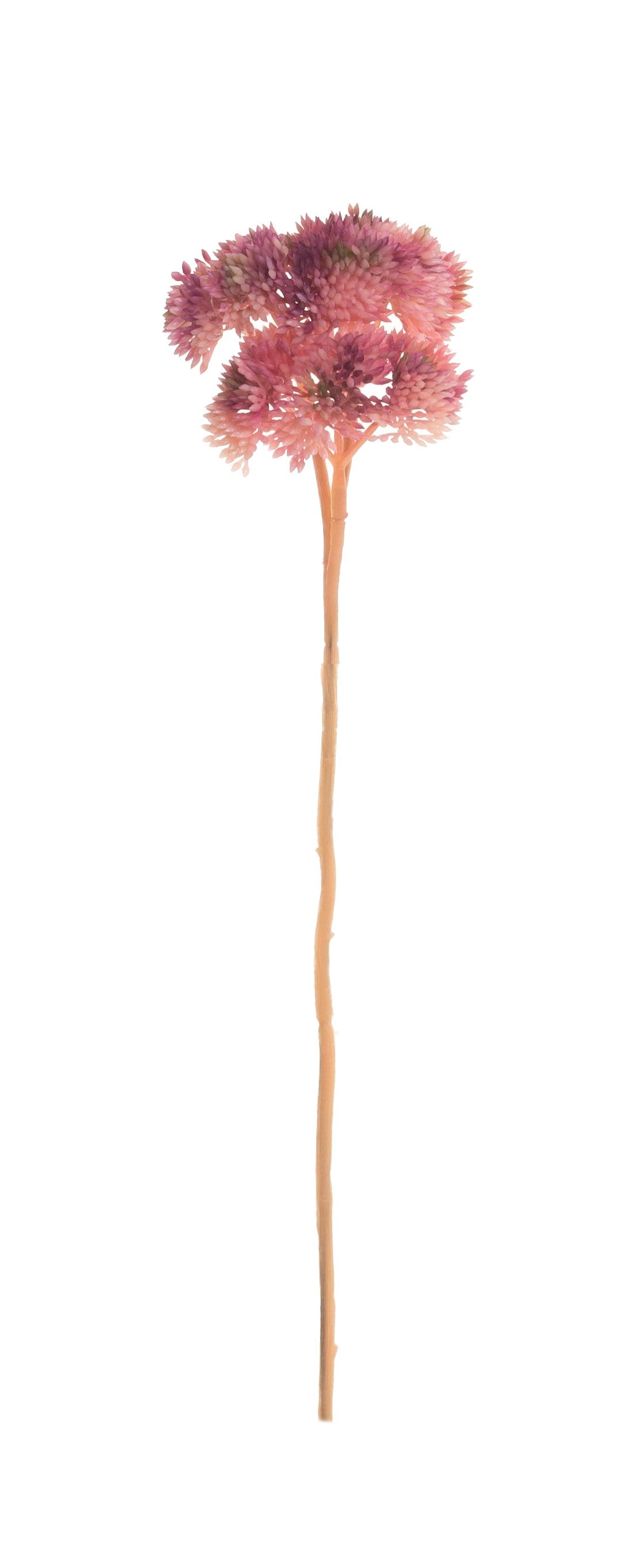 12" Succulent Stem-Pink   SU1044