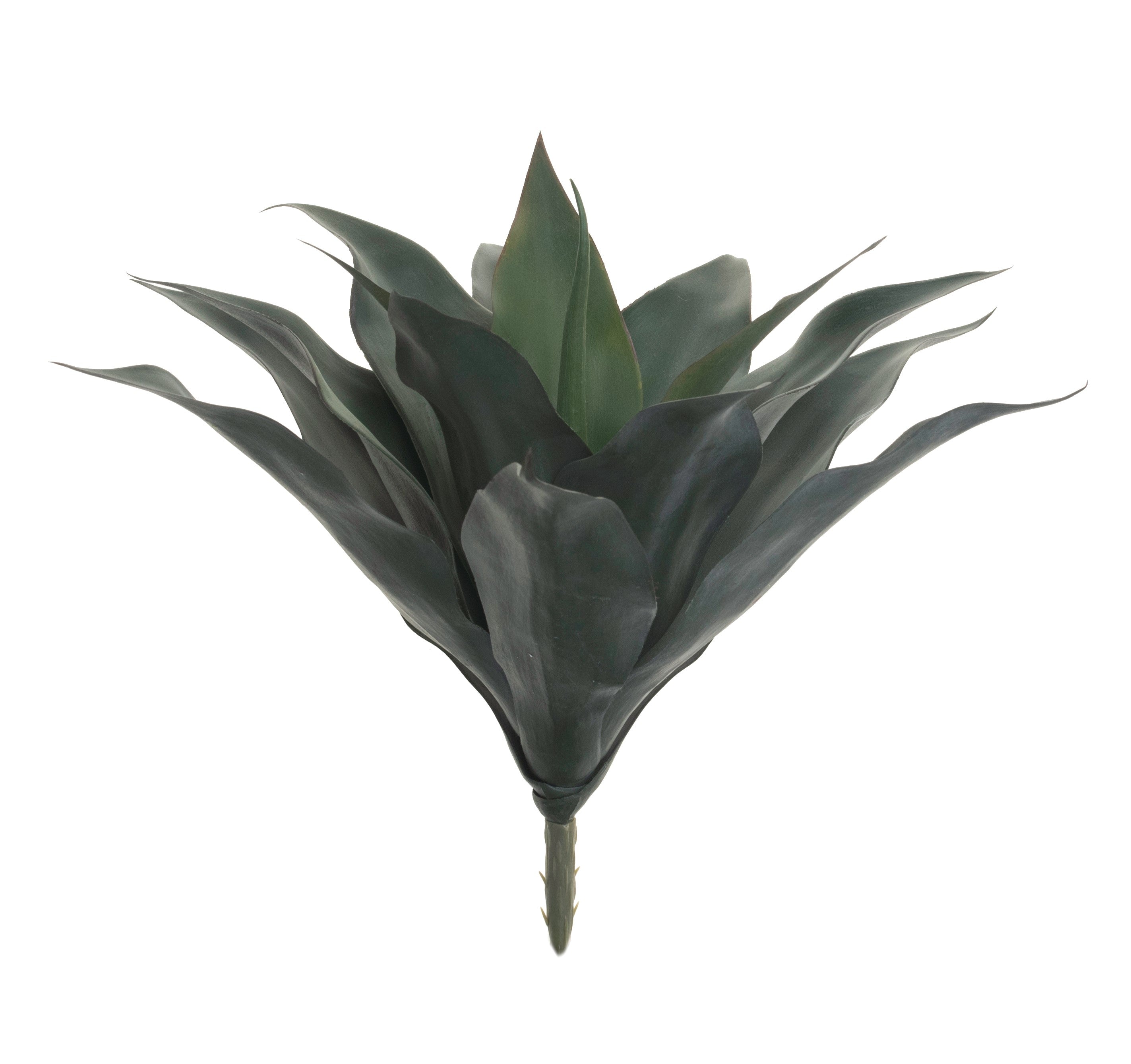 12" Agave Stem-UV Treated SU1046UV
