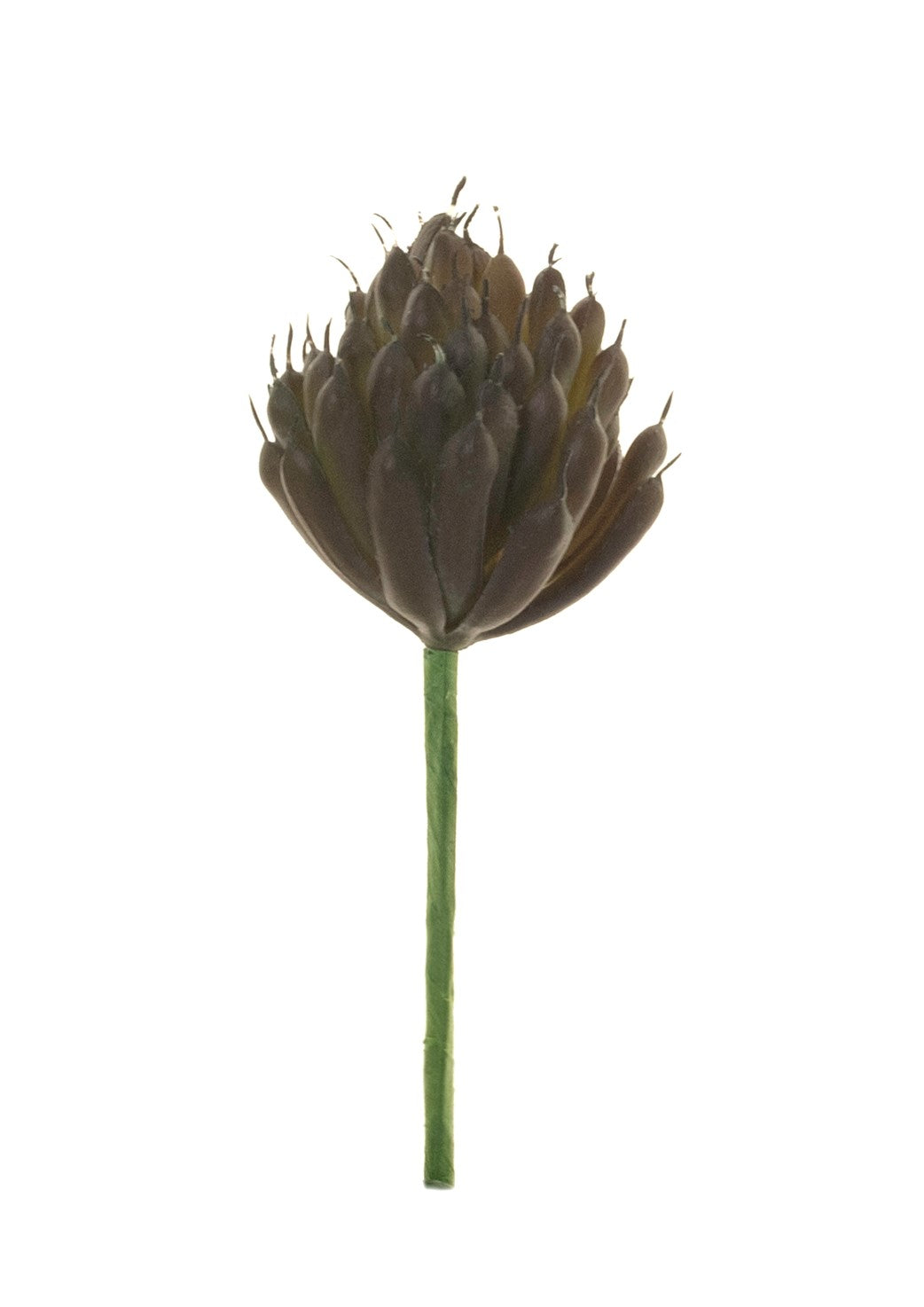 5" Succulent Pick- Burgundy   SU1049
