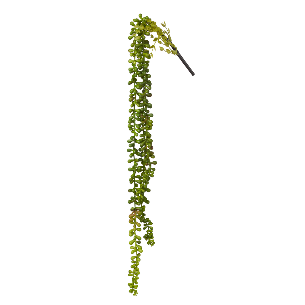29" Green Hanging Sedum SE1003