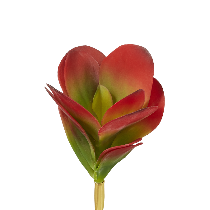 7" Jade Pick-Red JA1002