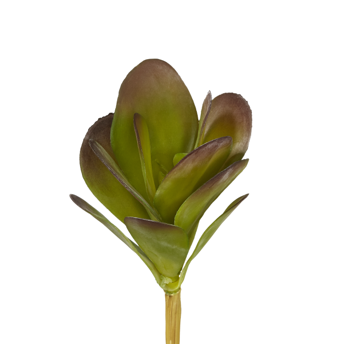 7" Jade Pick JA1001