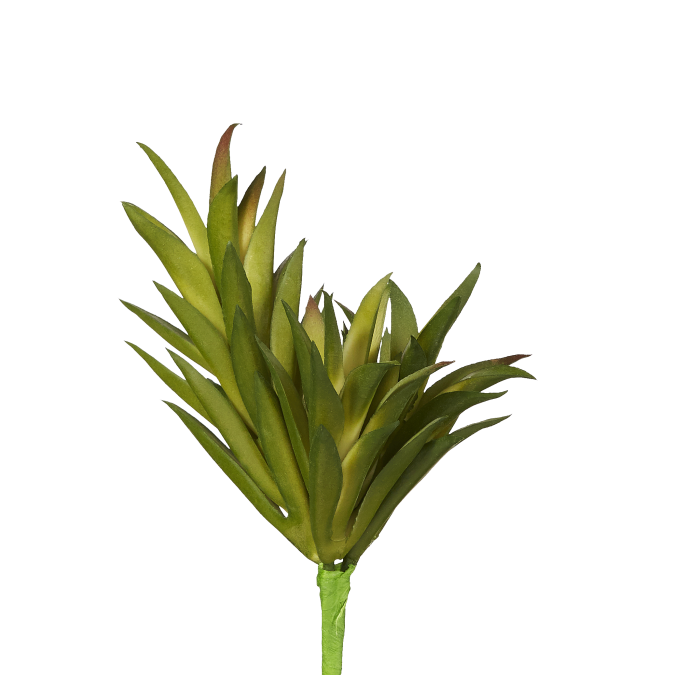 5" Succulent Pick SU1010