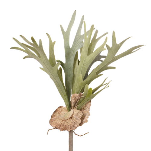 22" Flocked Staghorn Fern ST1005
