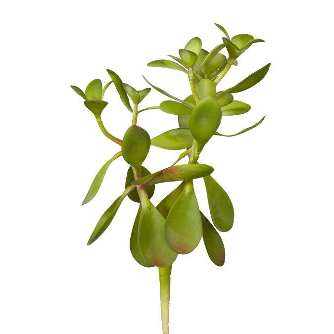 11" Jade Stem JA1004