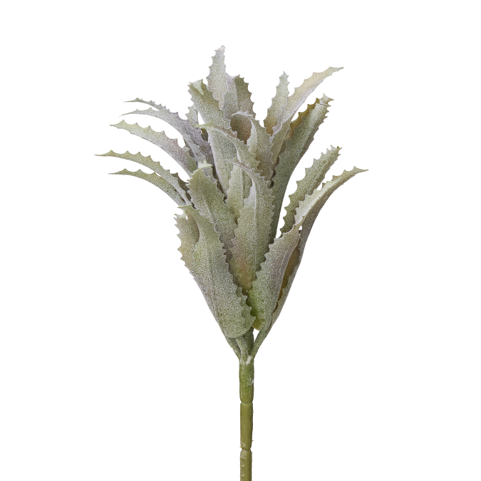 9" Pineapple Leaf Succulent SU1018